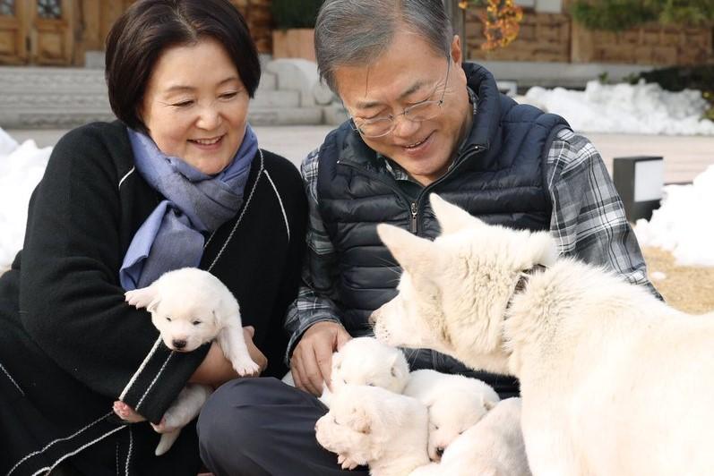 South Korea’s president Moon Jae-in and wife Kim Jung-sook with puppies mothered by the dog presented by North Korea as a ‘peace gift’