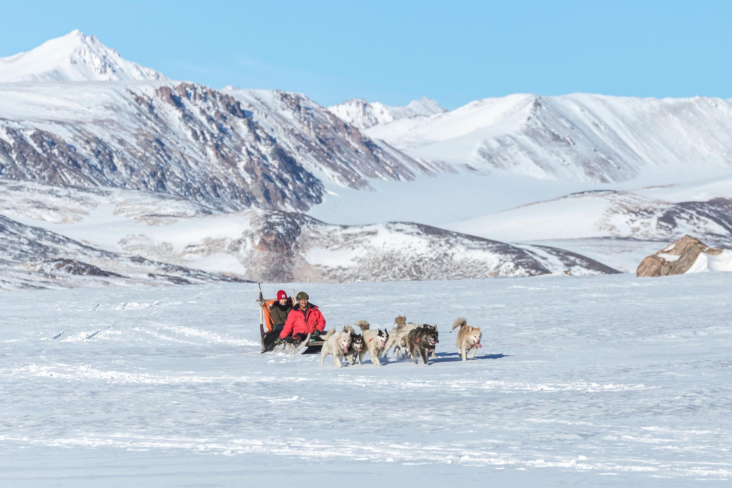 Mush to admire: going husky sledding is part of the experience