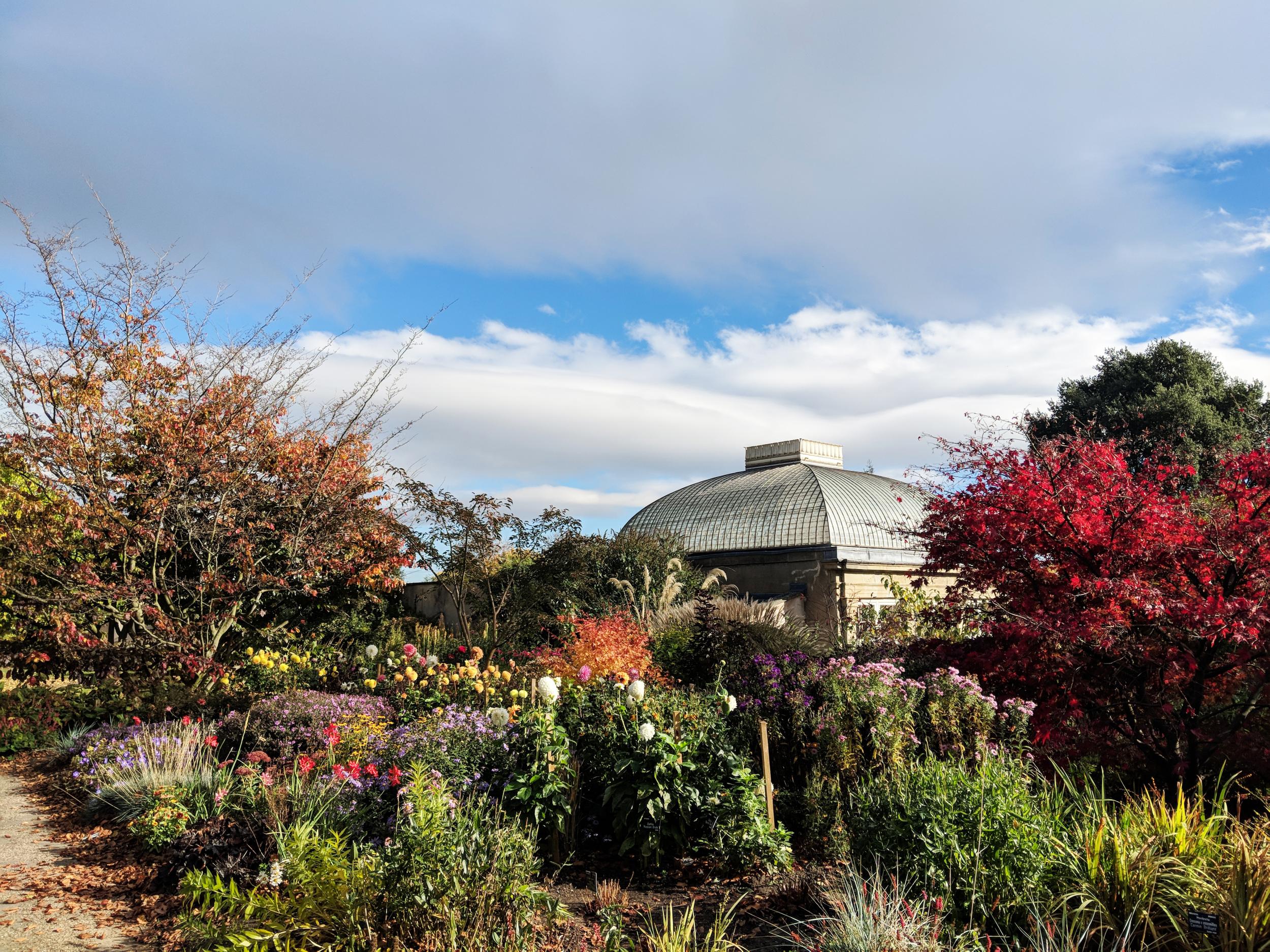 Stroll through Sheffield Botanical Gardens