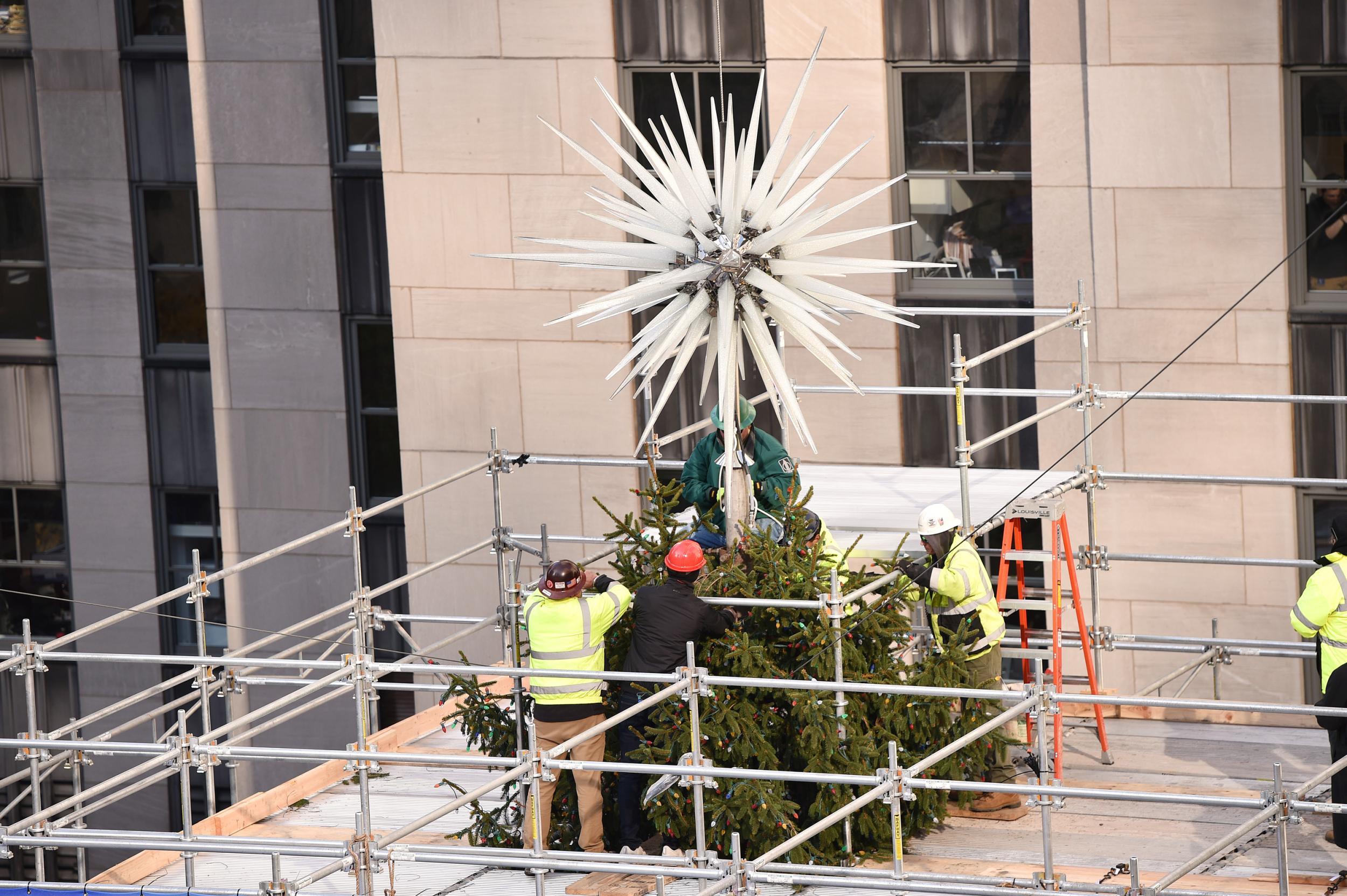 This year's tree is 72 feet tall (Getty)