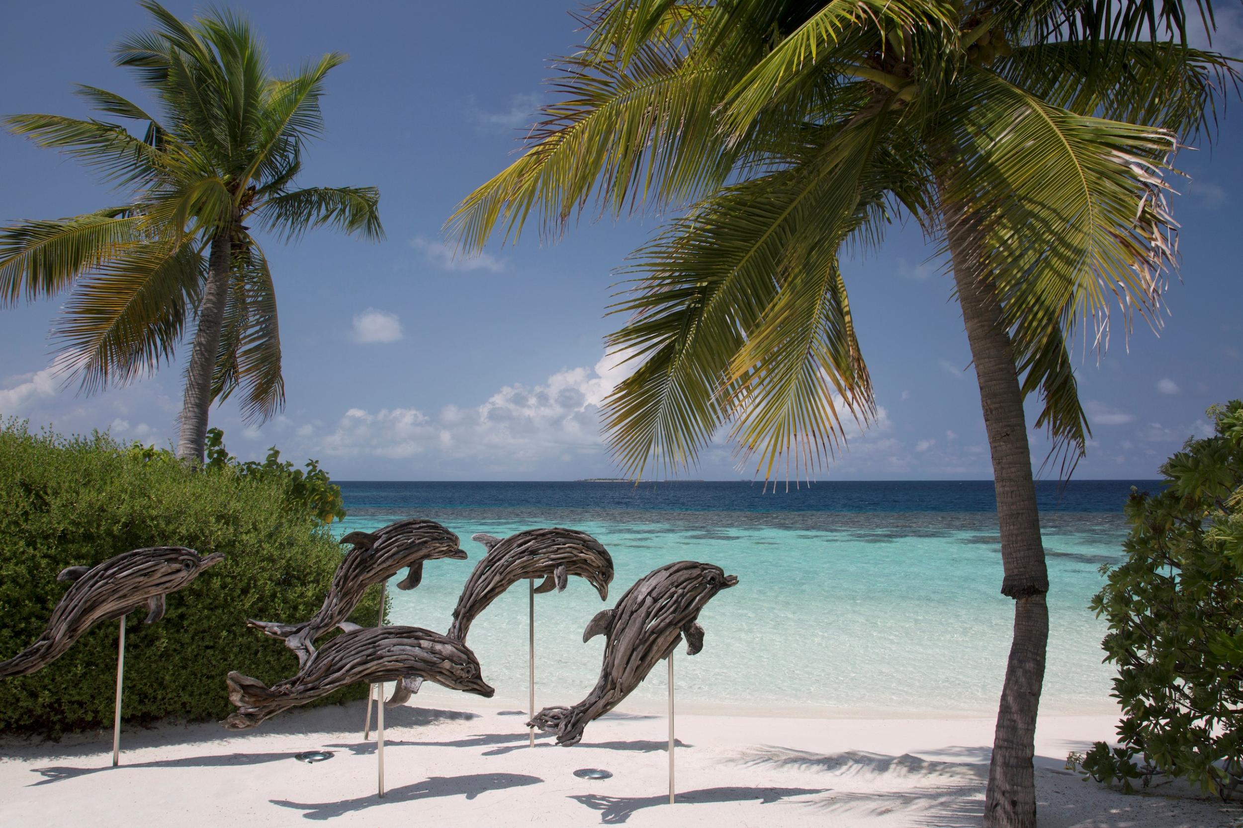 Mammal mia! The private beach on the island