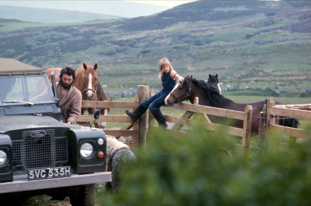 (Paul McCartney (photo by Linda McCartney)