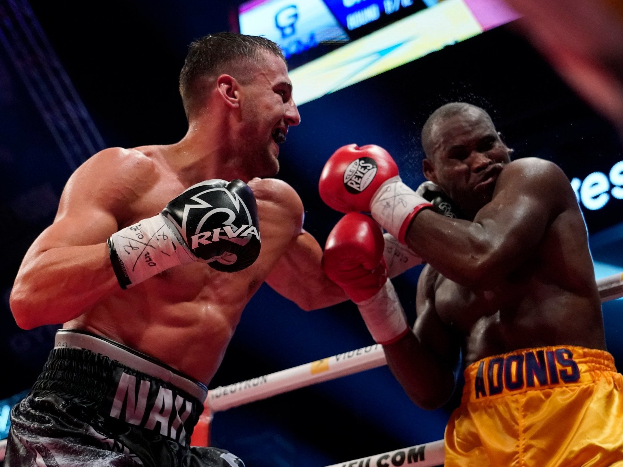 Stevenson has undergone surgery after being knocked out on Saturday night