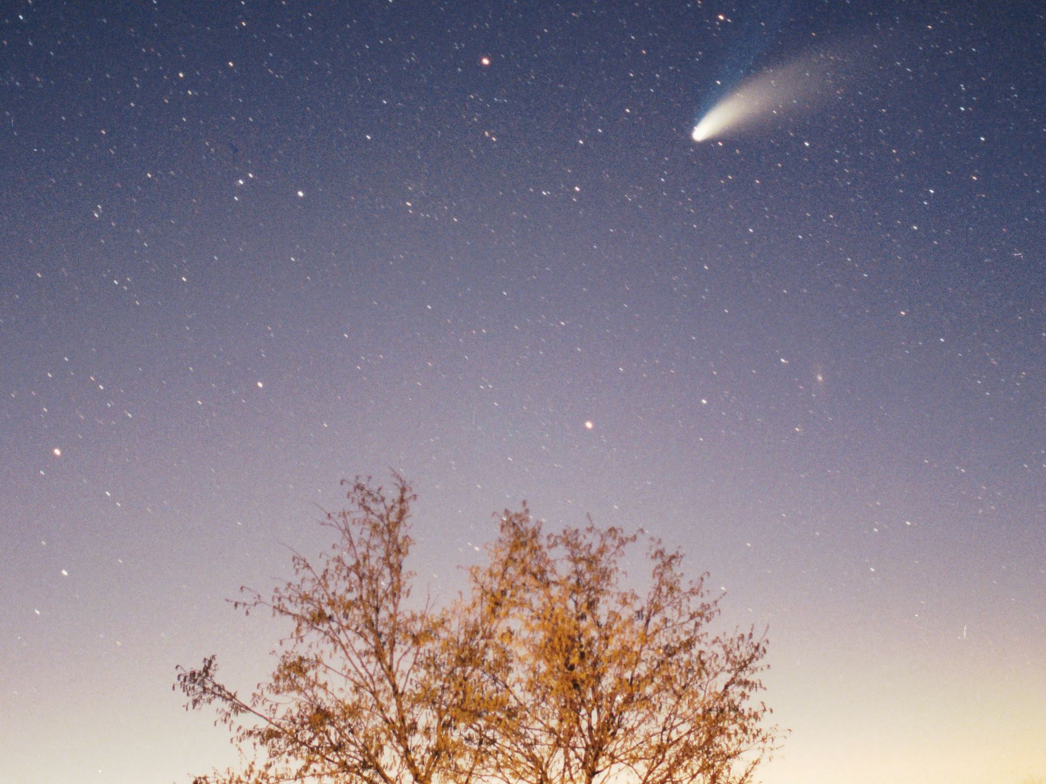 Wirtanen may not compare to Comet Hale-Bopp's appearance in 1997, but you never know