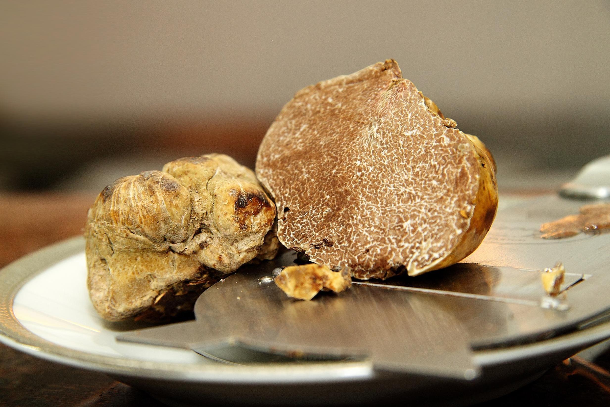 Truffles are less expensive than usual (Stock)