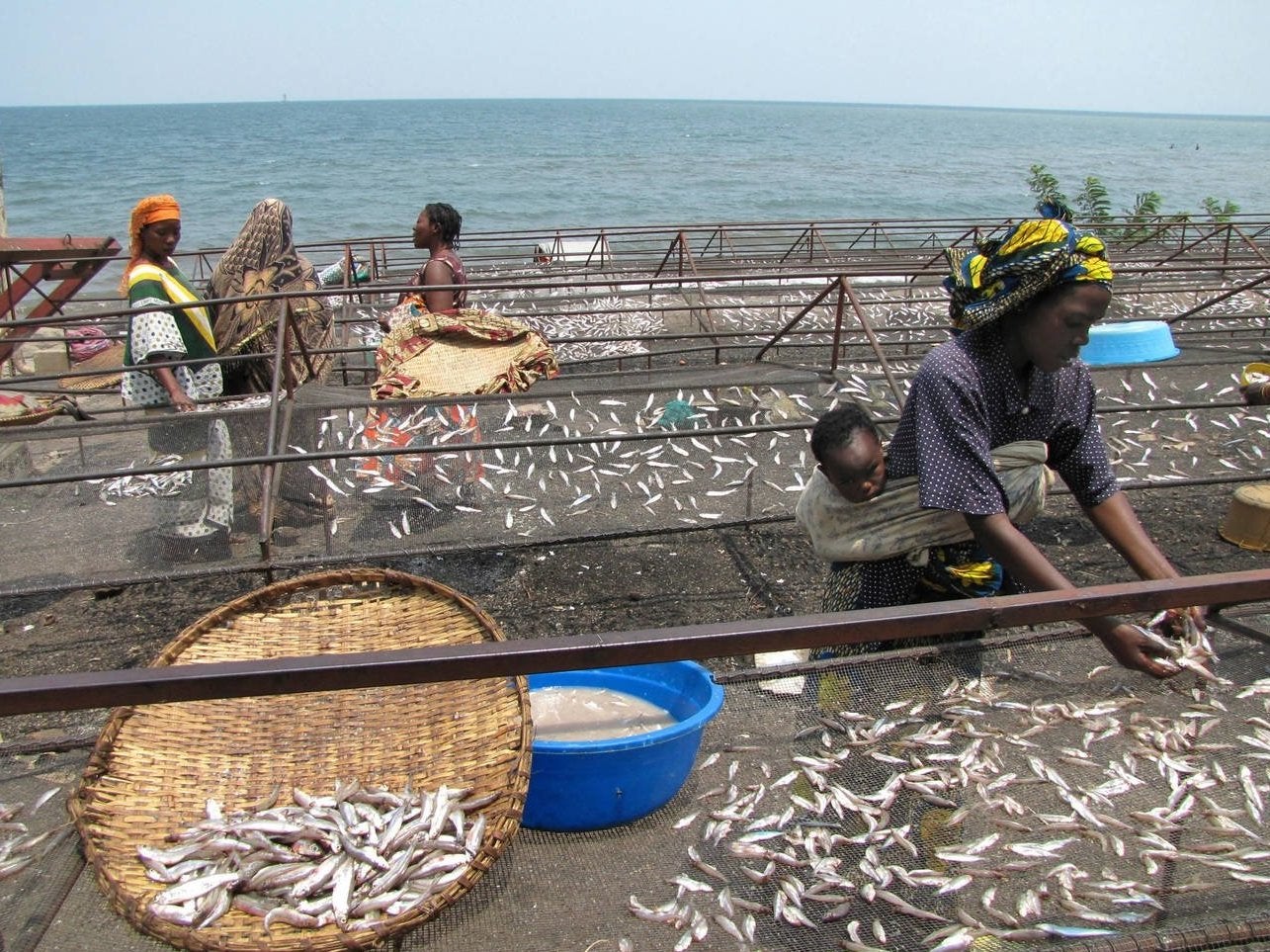 The lake is vital for the local economy and its fish is sold across the country