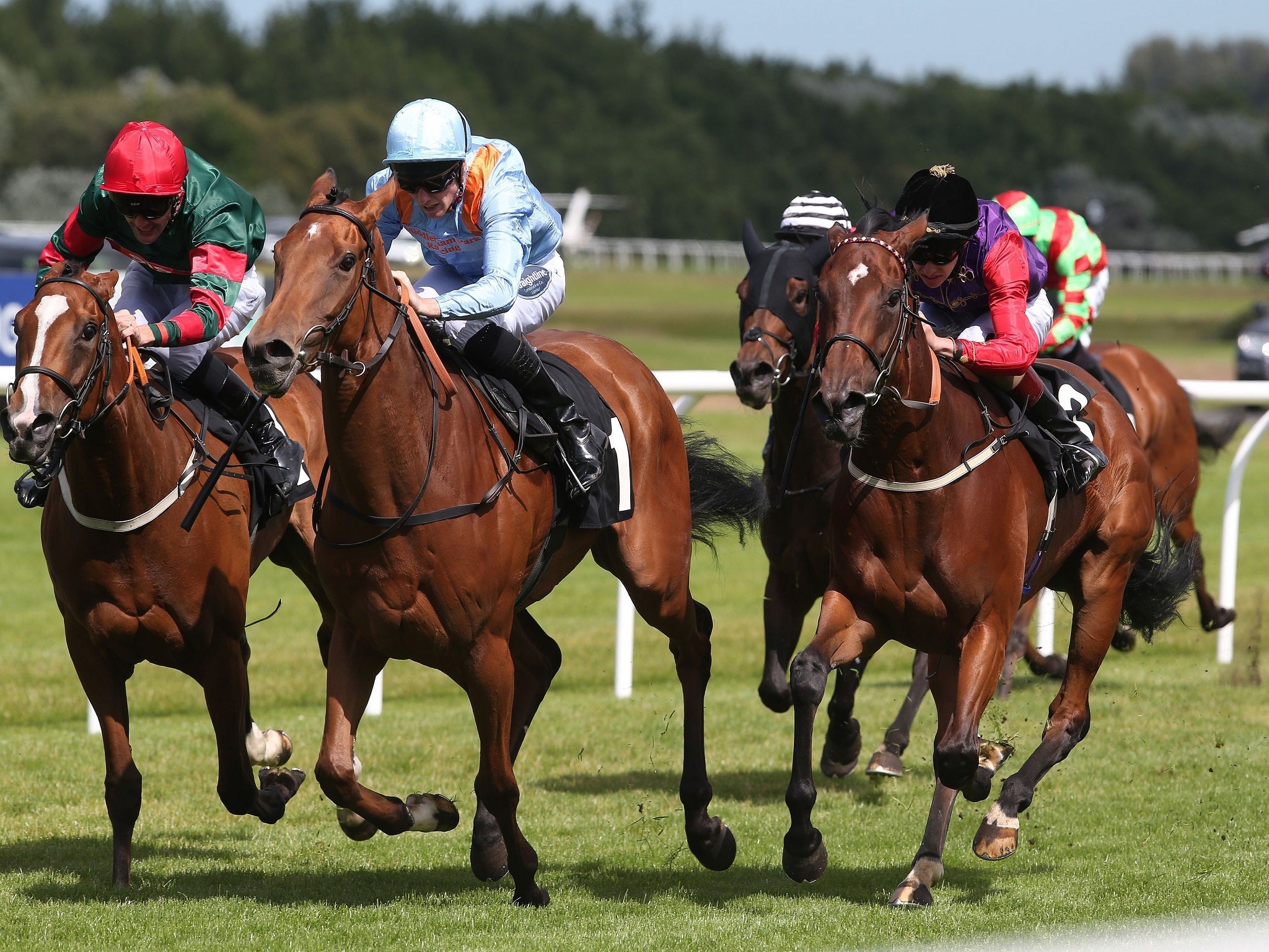 A previous race at Musselburgh Racecourse in East Lothian, Scotland.