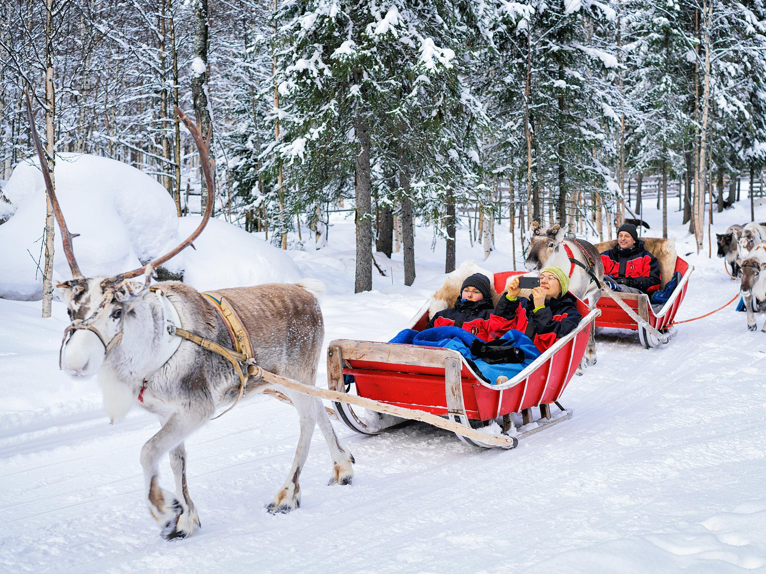 A third of Britons think Lapland is fictional place, survey says