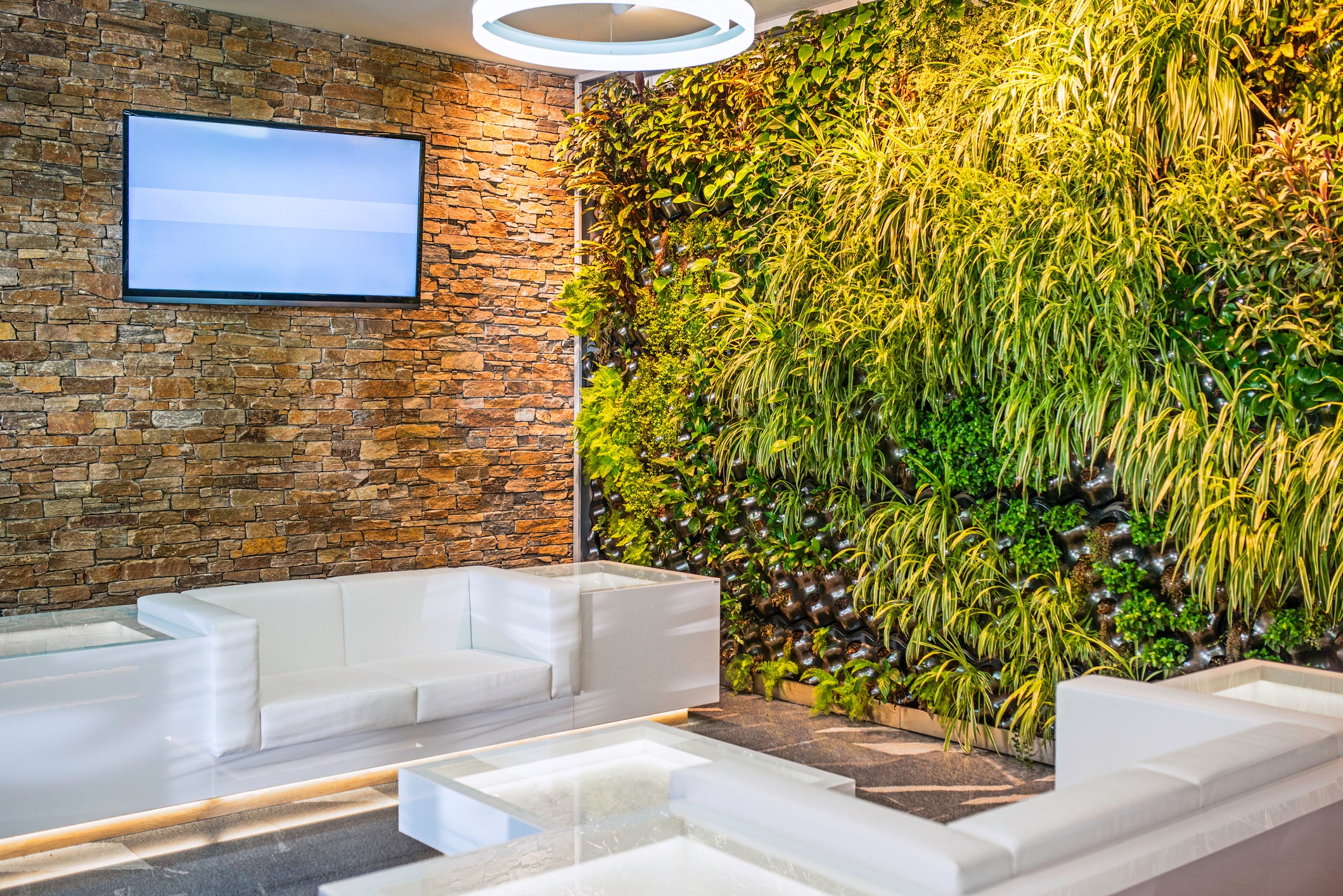 (Getty Images/iStockphoto