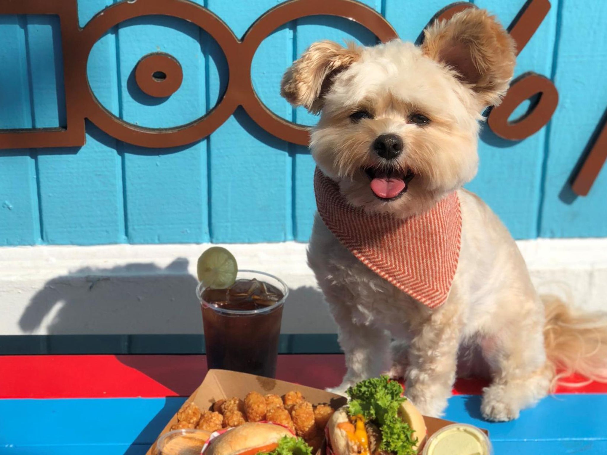 Popeye at Monty's Good Burger in LA