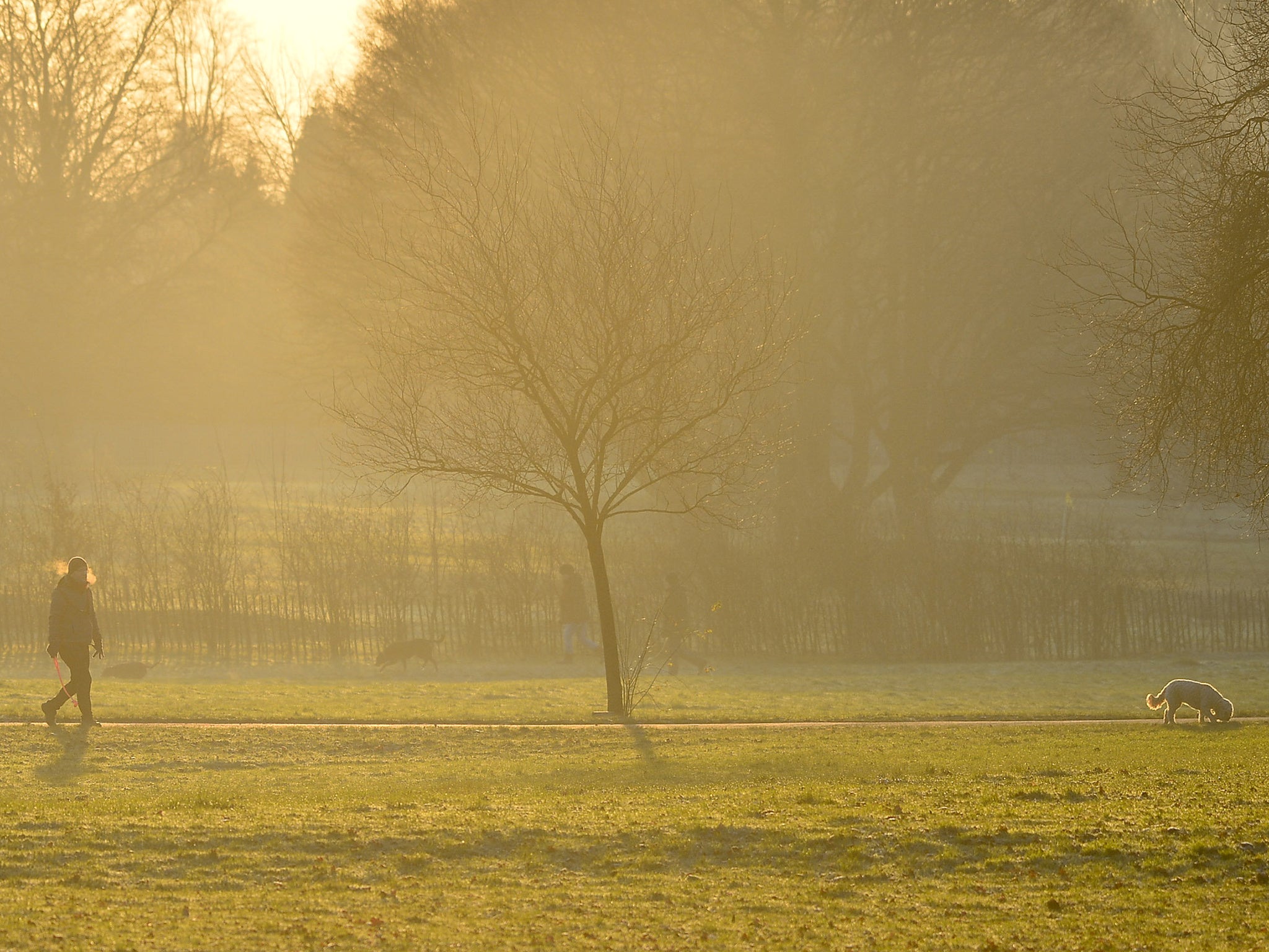 Frosty weather expected early next week as temperature plumments