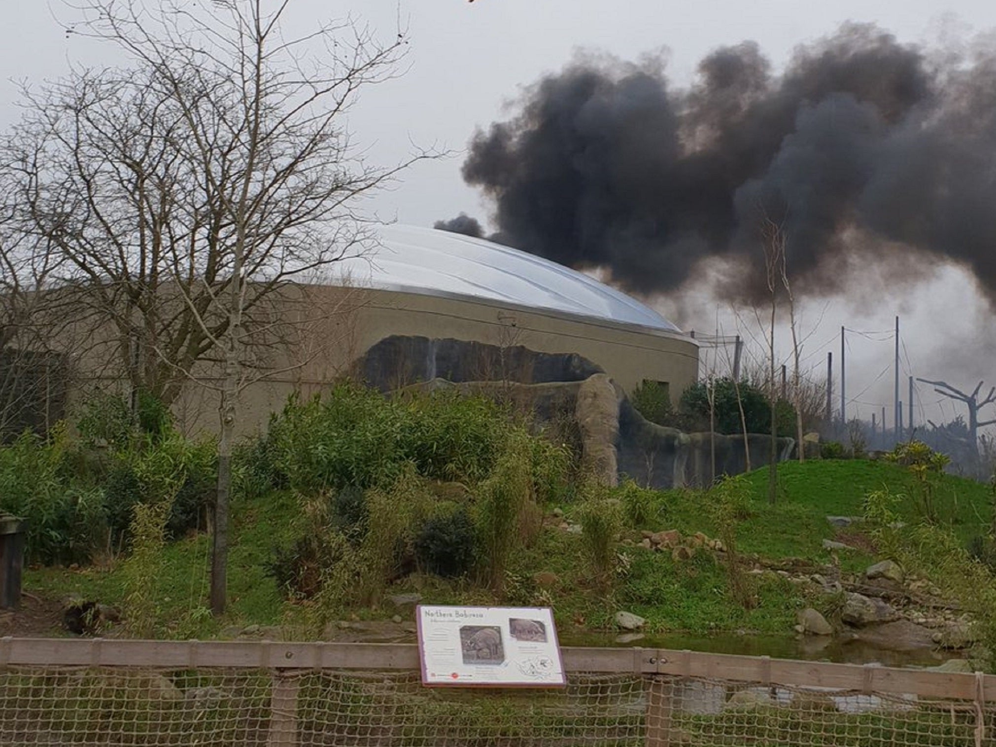 Visitors were evacuated from Chester Zoo after a fire broke out in the Monsoon Forest habitat area 15 December, 2018.