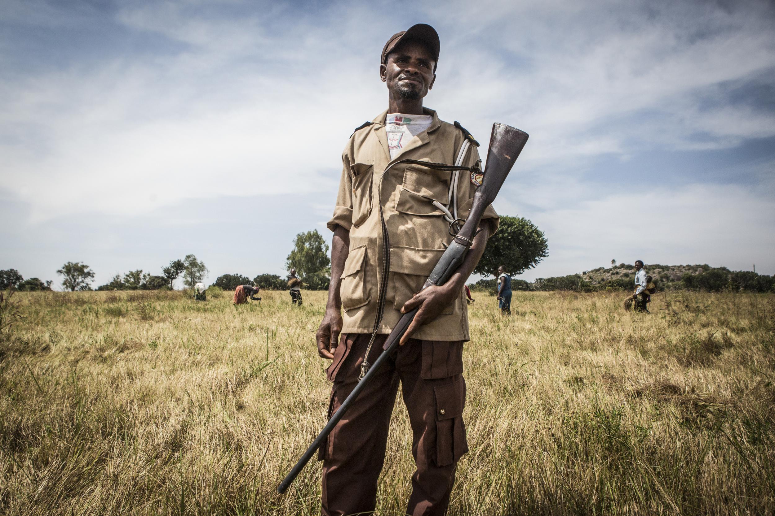 Yahaya Musa, 37, stands guard as farmers harvest grain in Barkin Ladi