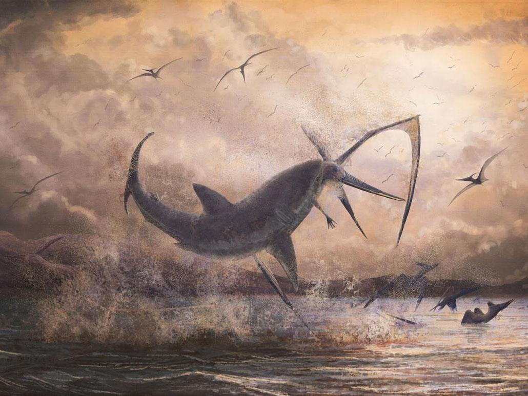 Artist's impression of a prehistoric shark snatching a Pteranodon from the sky