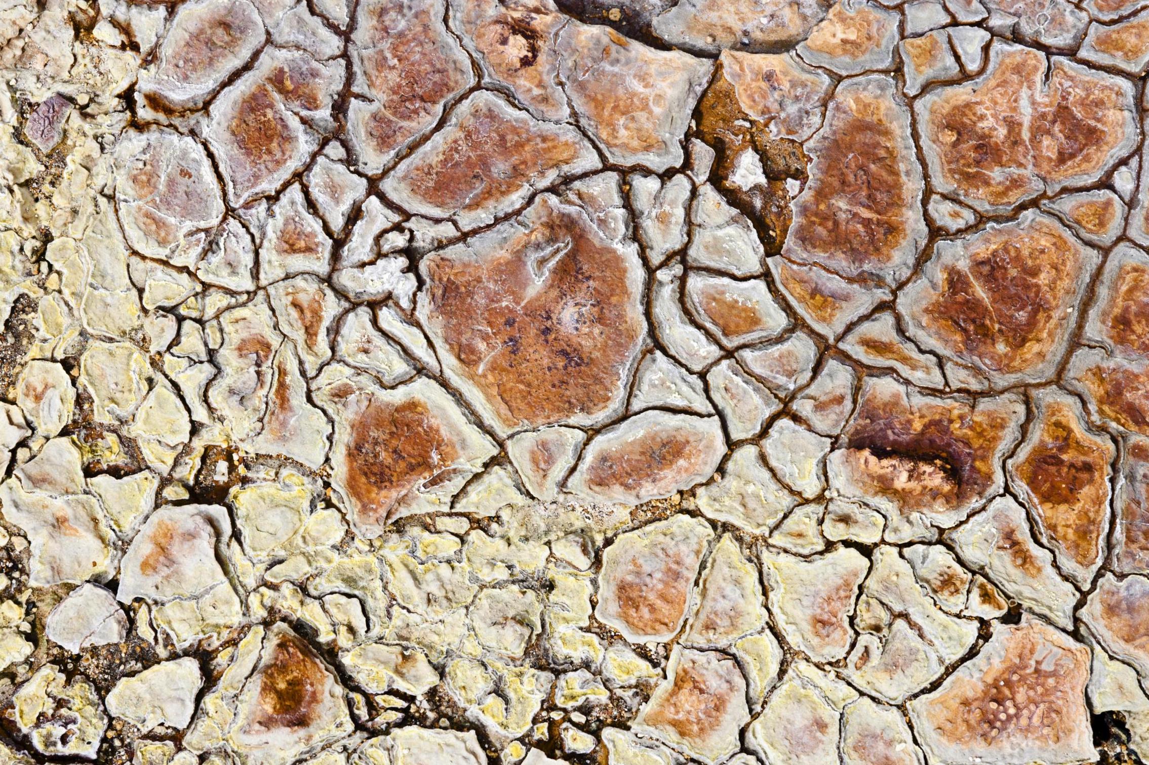 Structures formed by coloured minerals, earth, and water in the geothermal area of Kaldaklofsfjoell, Iceland (Rex)