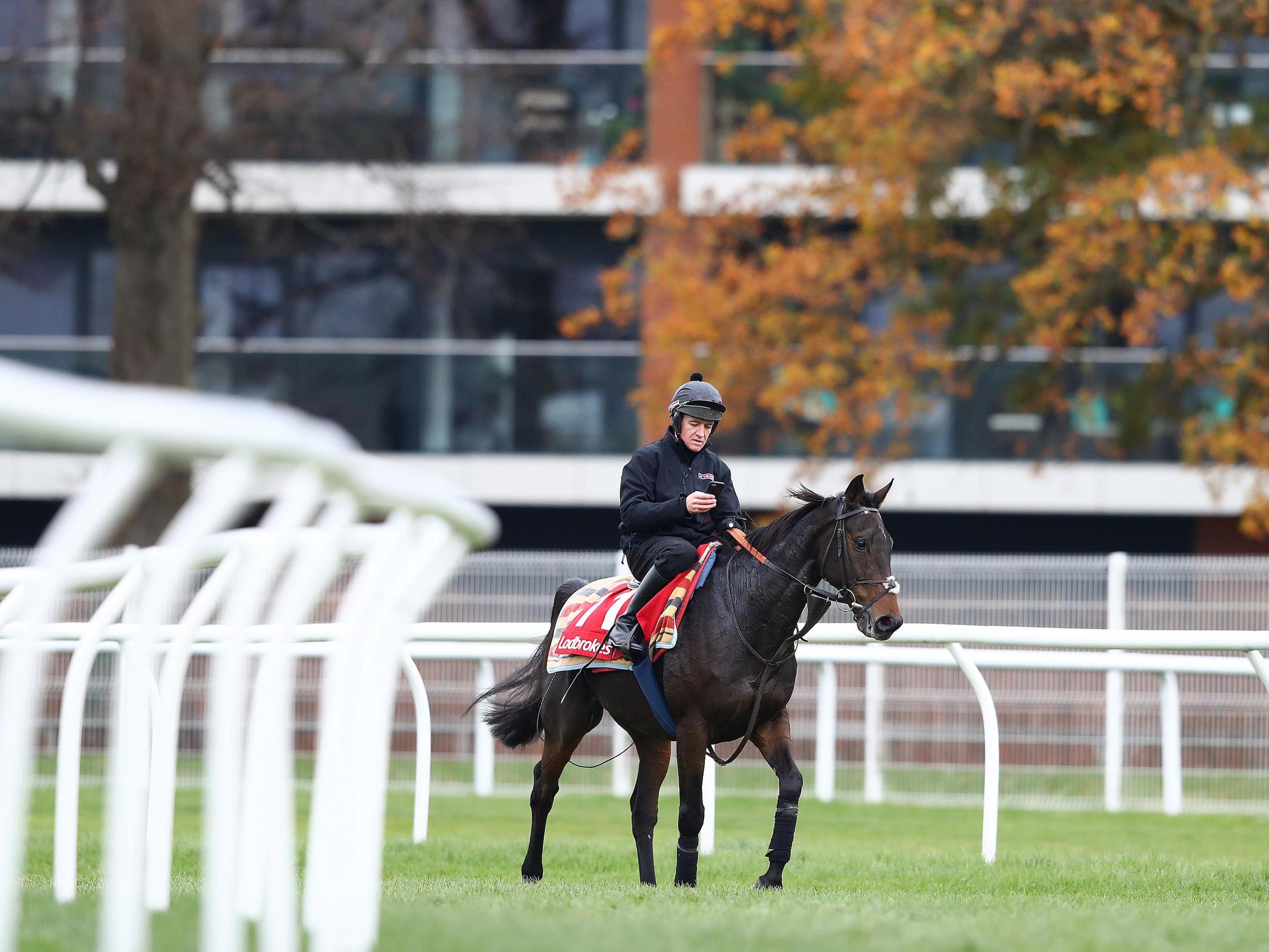 Barry Geraghty on Buveur D’Air during gallops ahead of the Ladbrokes Winter Carnival meeting