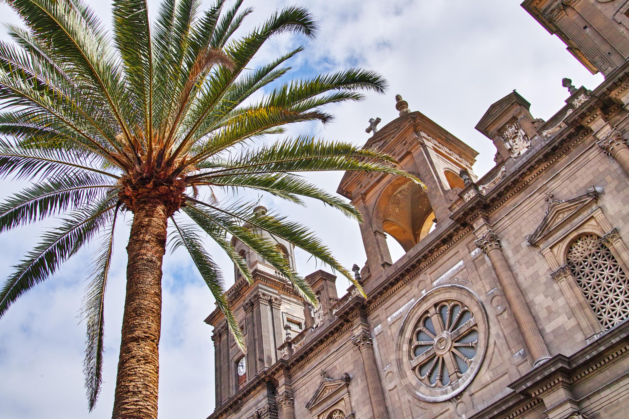 Fit in time for Las Palmas Cathedral