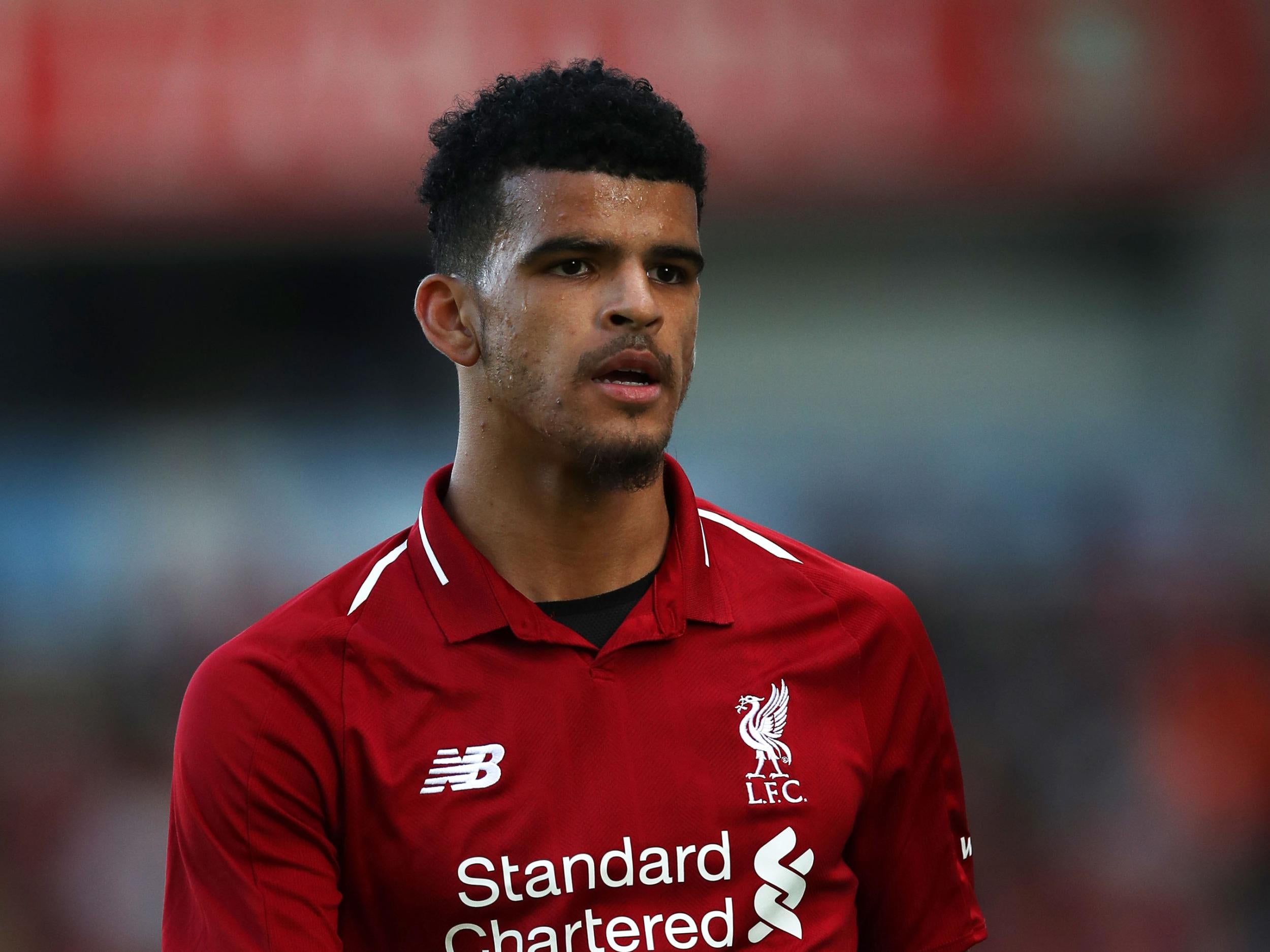 Dominic Solanke has joined Bournemouth from Liverpool