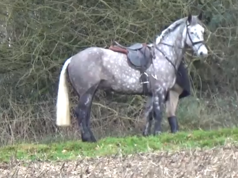 The rider, photographed on one leg, was seen aiming the other one at the horse’s stomach