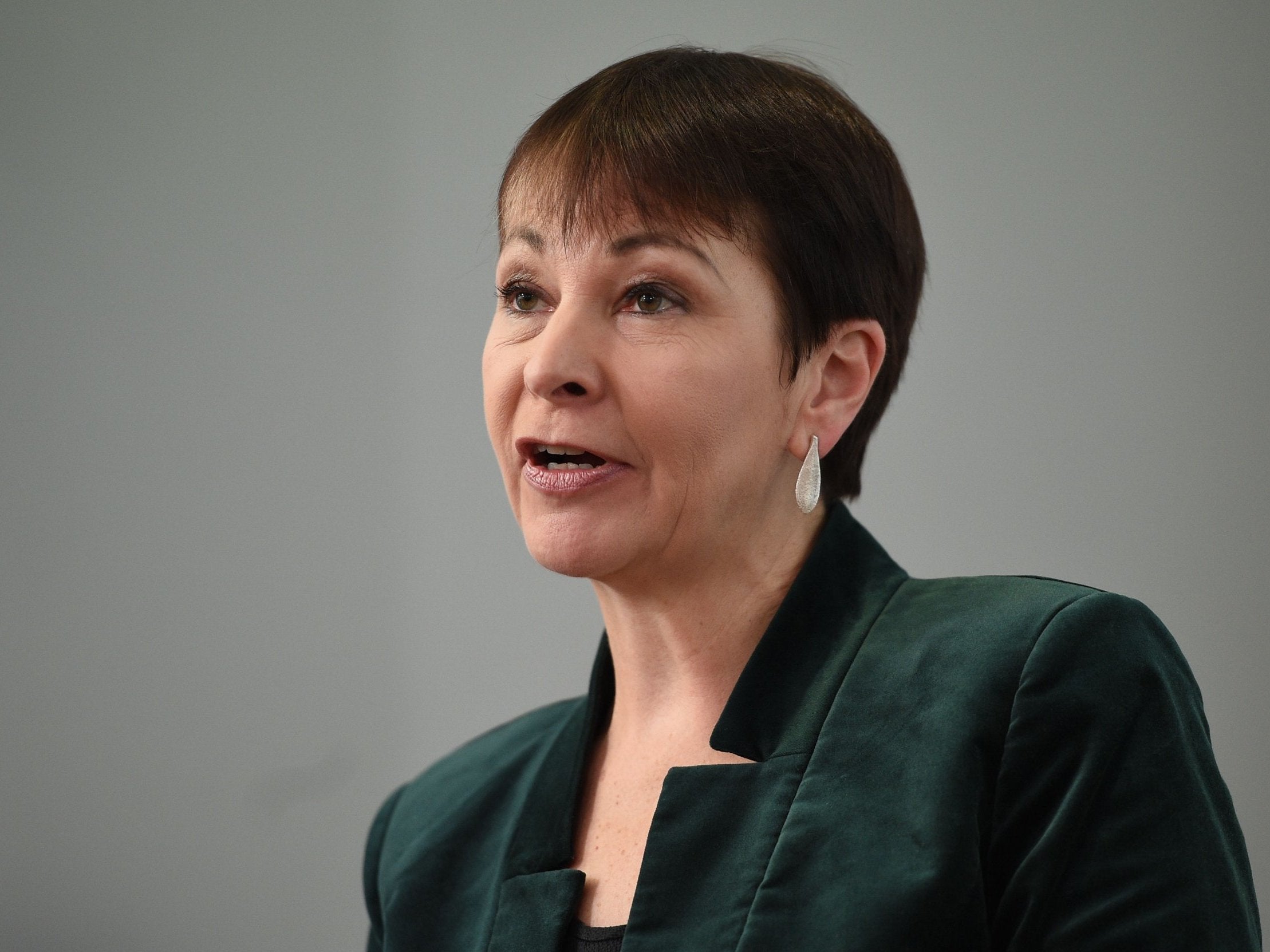 Caroline Lucas says she is prepared to support Corbyn as caretaker PM