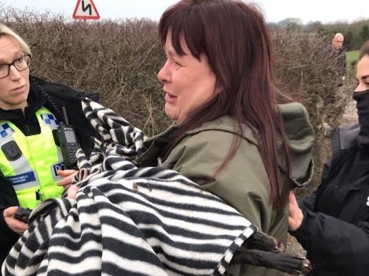 Dead fox allegedly dumped in canal in Huxley