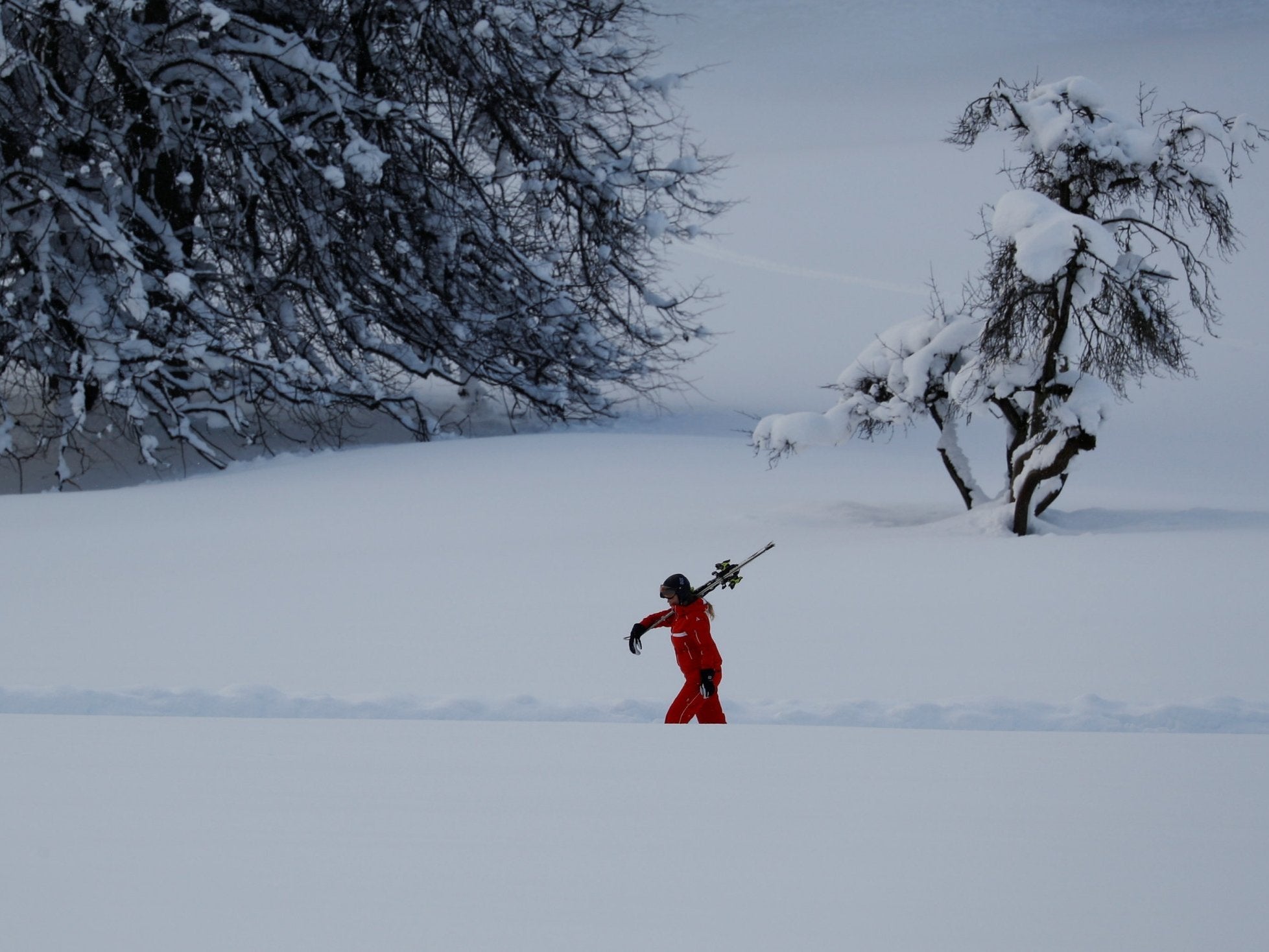 A skier walks past snow-covered trees after heavy snowfall Flachau, Austria