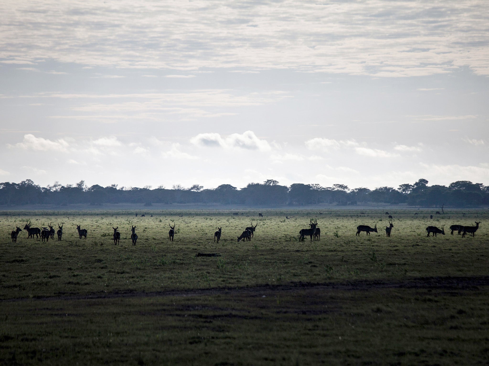 Animals are the draw; but people are central to Gorongosa’s successful rehabilitation