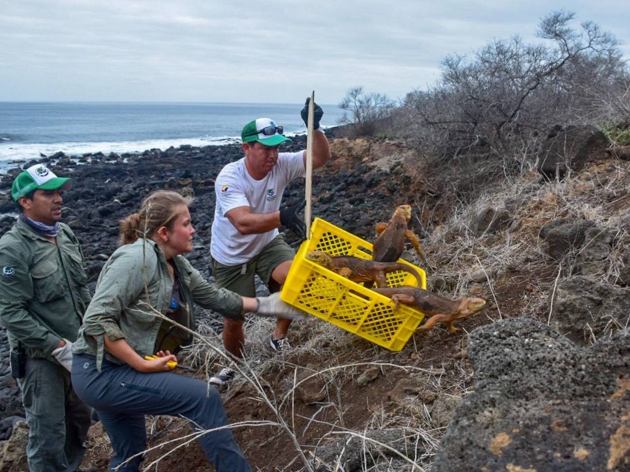 25 park rangers took part in the project