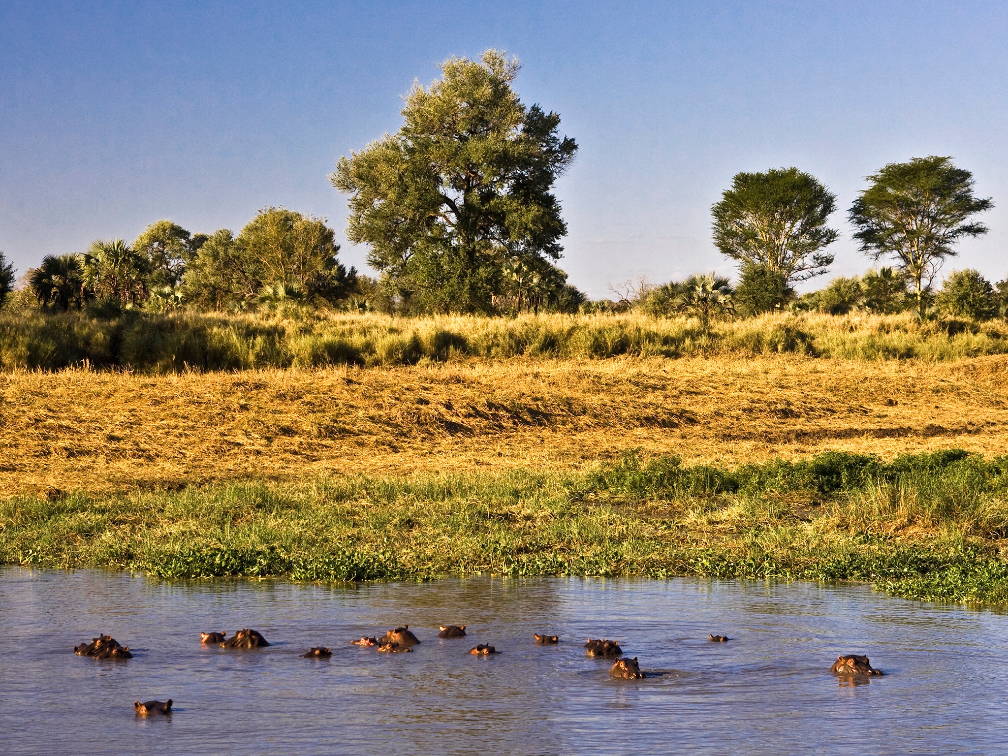 The return of tourists should be the final element in securing the park’s future (J Da Silva/Gorongosa National Park)