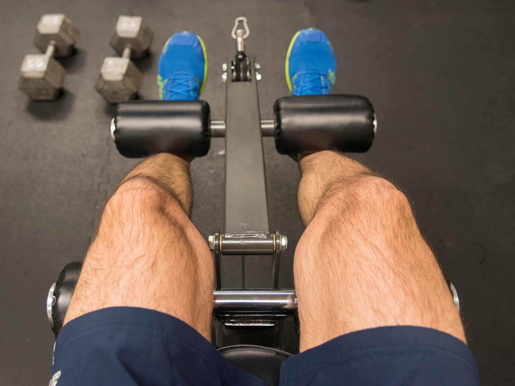 Seated leg curls work the hamstrings