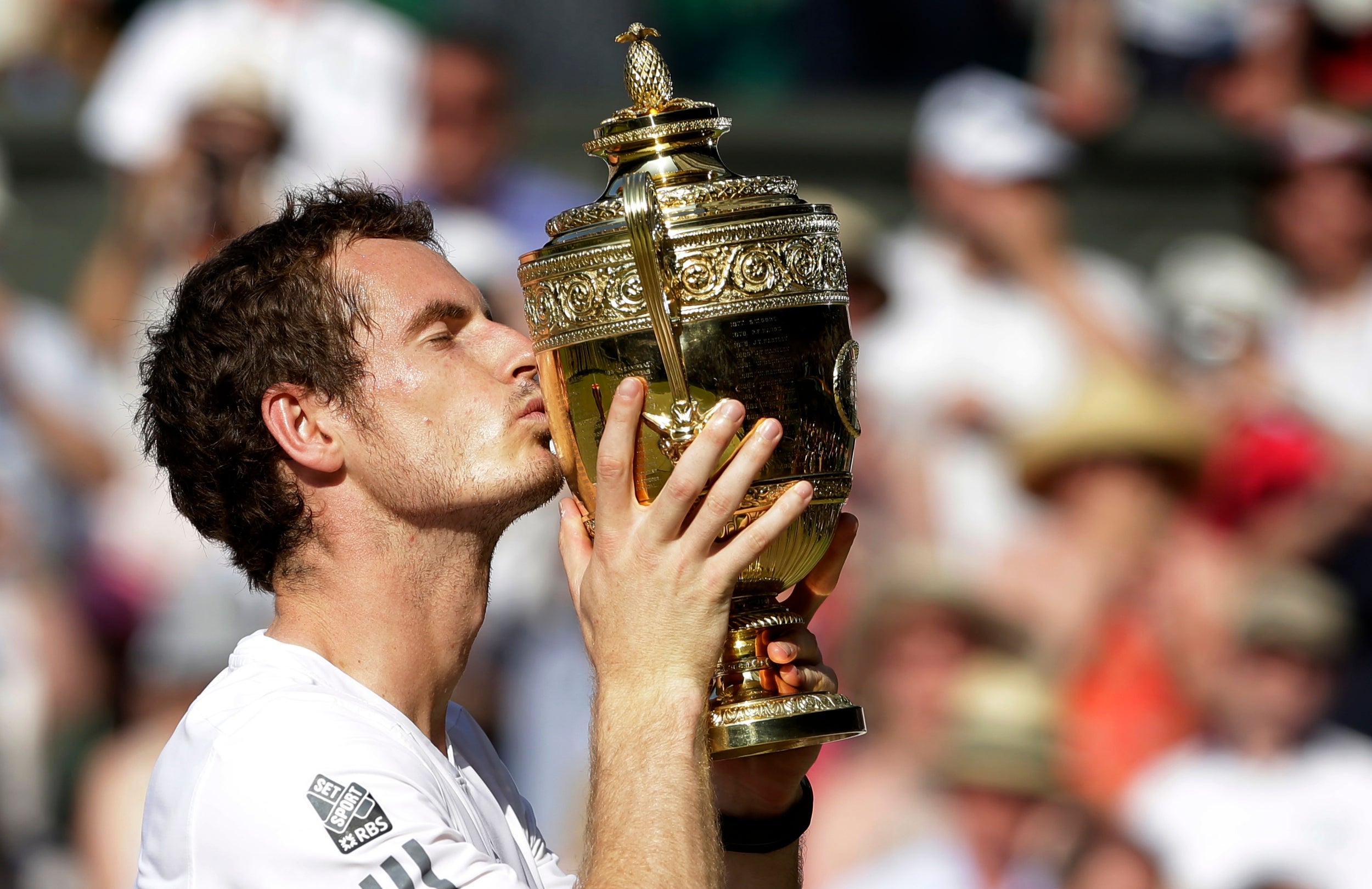 Murray's crowning glory was winning Wimbledon in front of a boisterous home crowd (AFP/Getty Images)