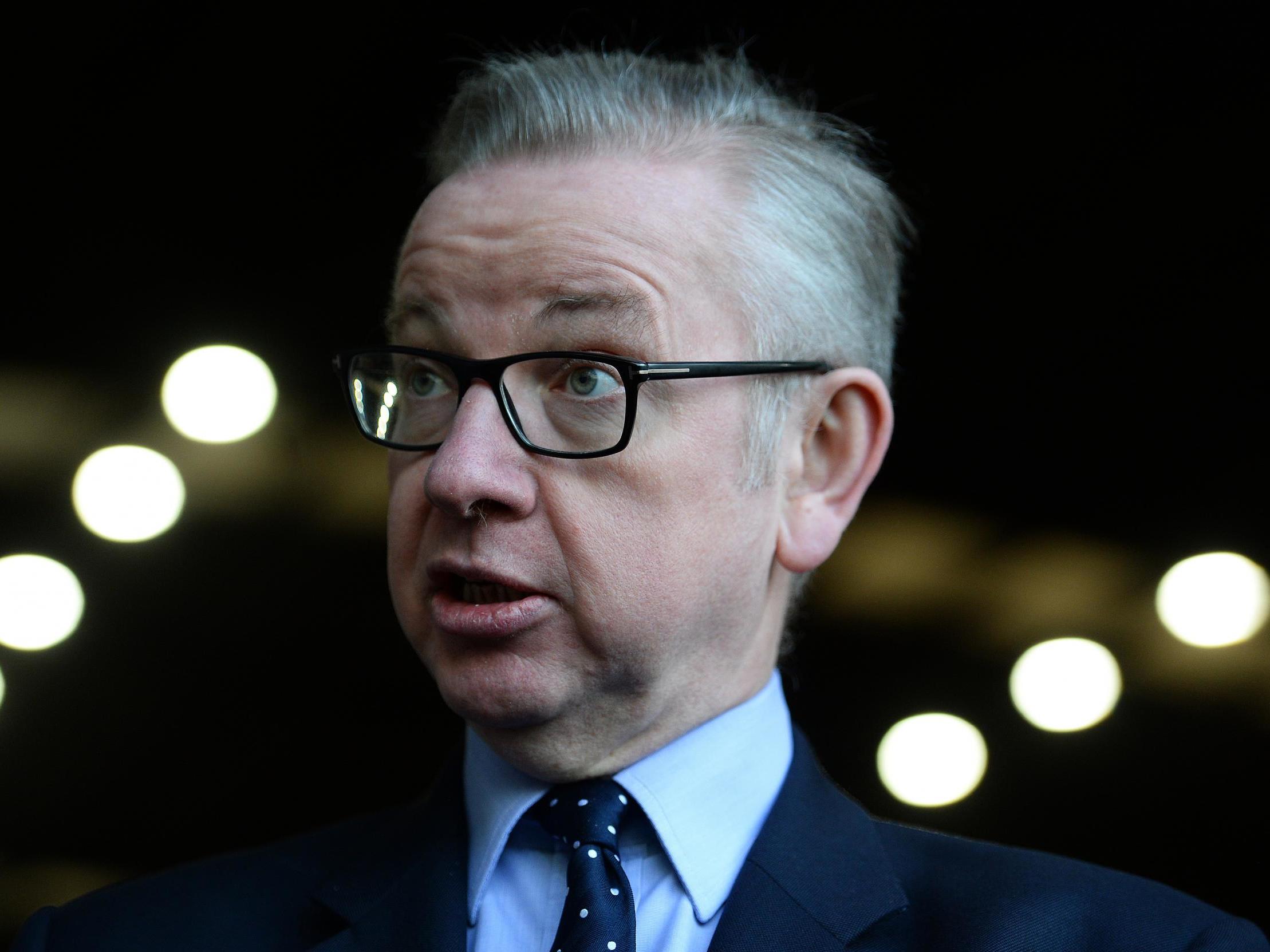 Gove headed the Vote Leave campaign alongside Boris Johnson