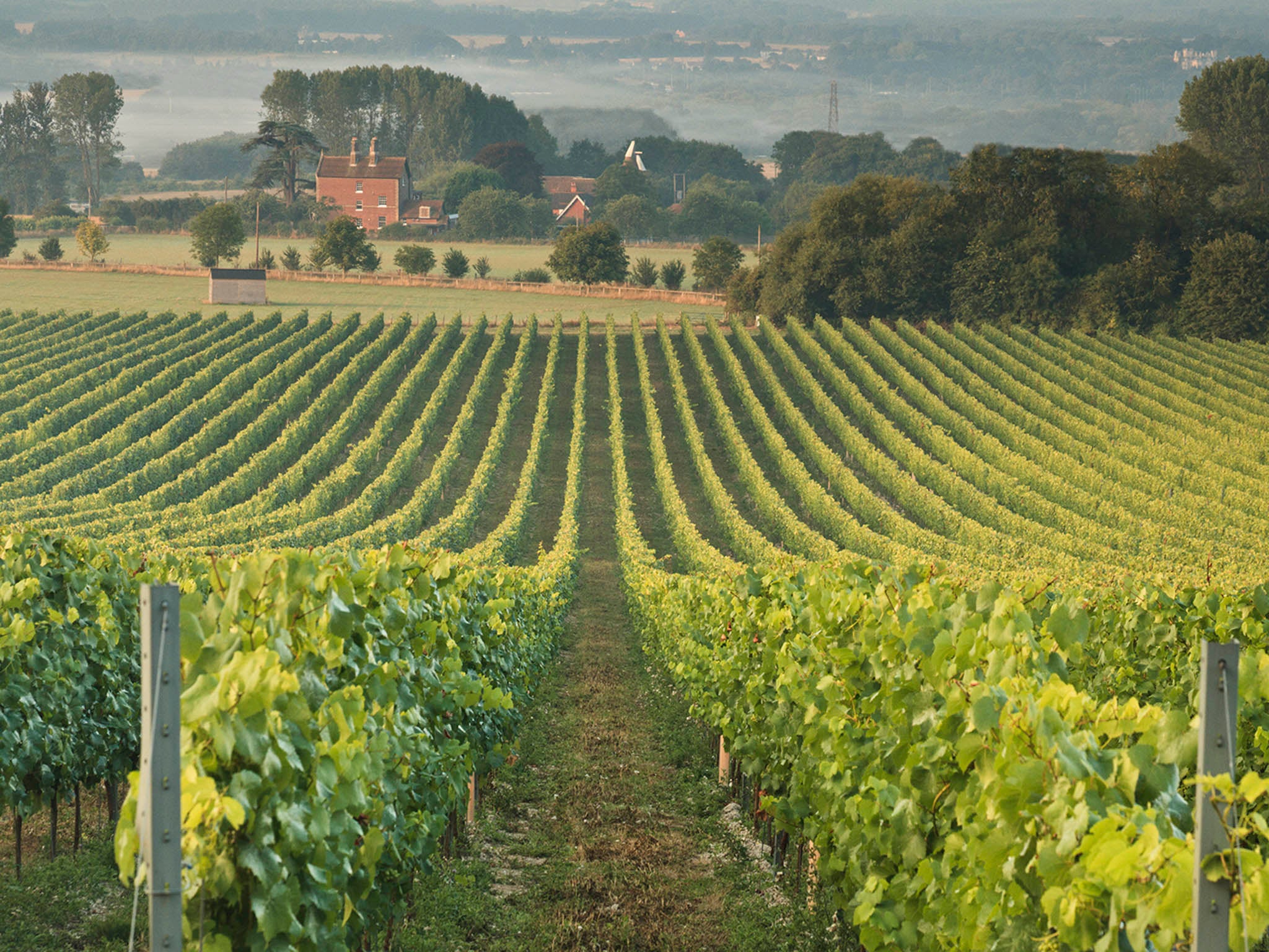 Chapel Down, the country’s leading wine producer, could see you quaffing sauvignon at a time more usually confined to coffee