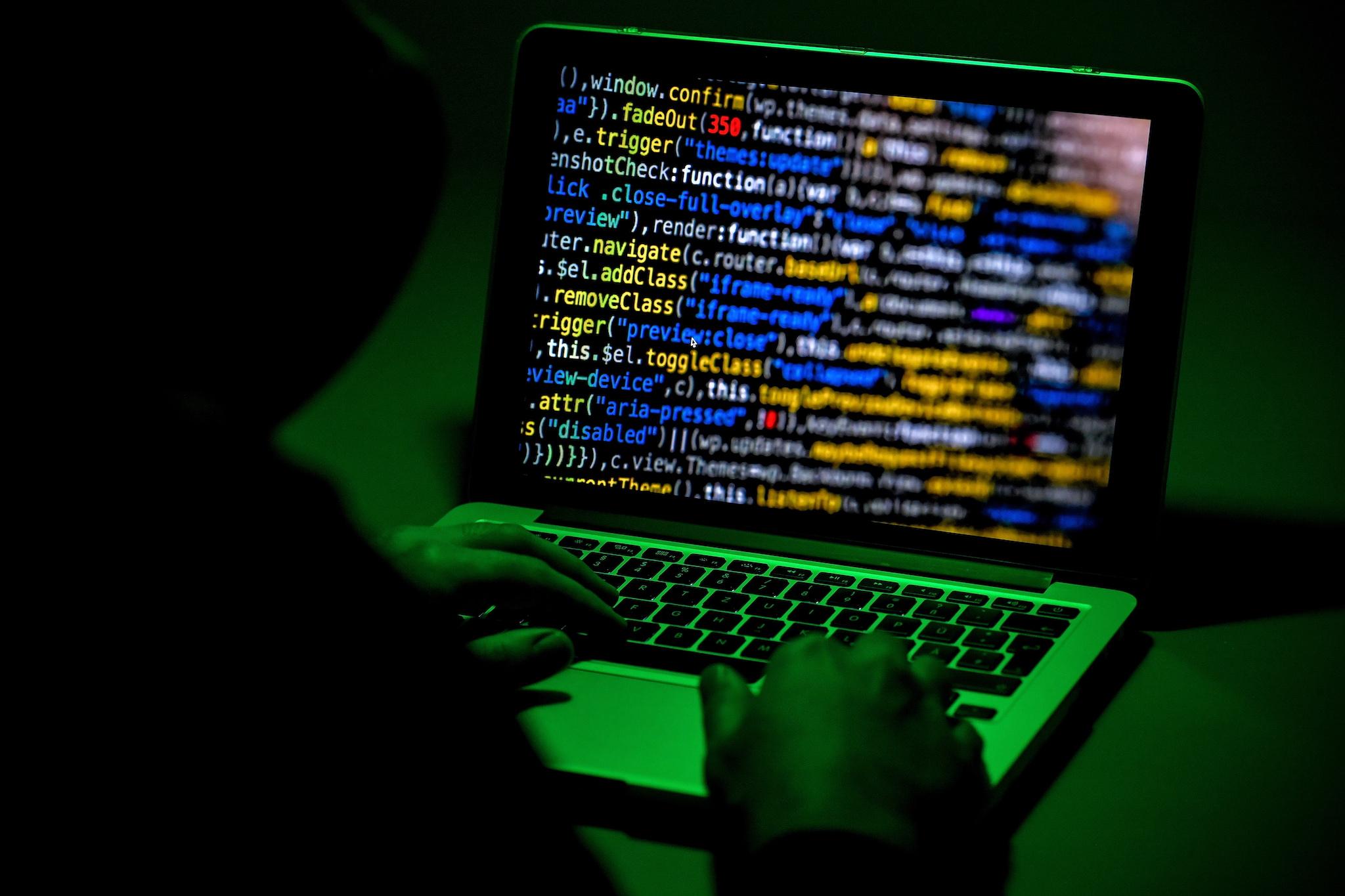 A person sits in front of a computer screen in Moers, Germany, 04 January 2019