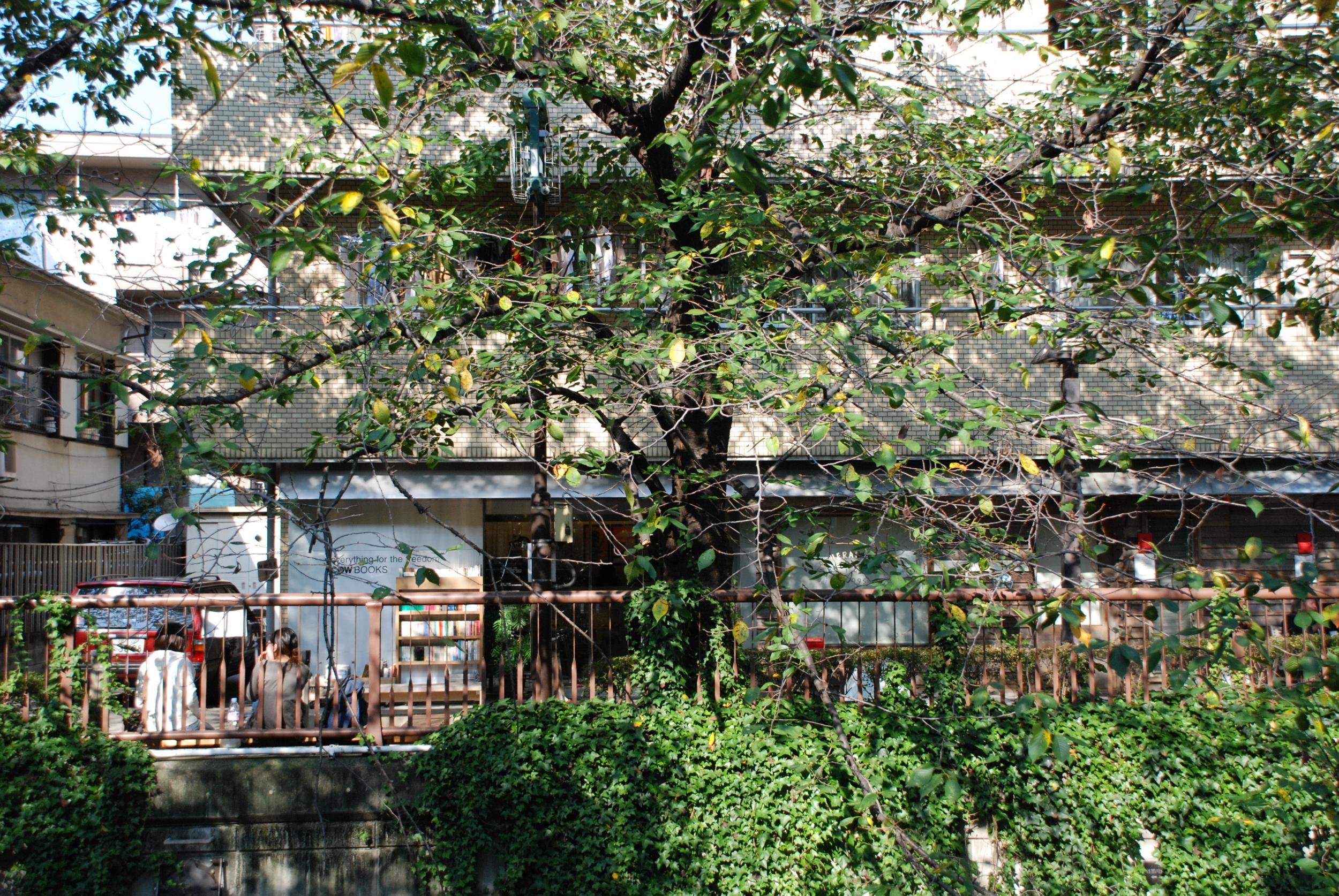 Tokyo’s laidback Nakameguro neighbourhood is beautiful in spring