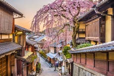 A complete guide to Japan's cherry blossom season