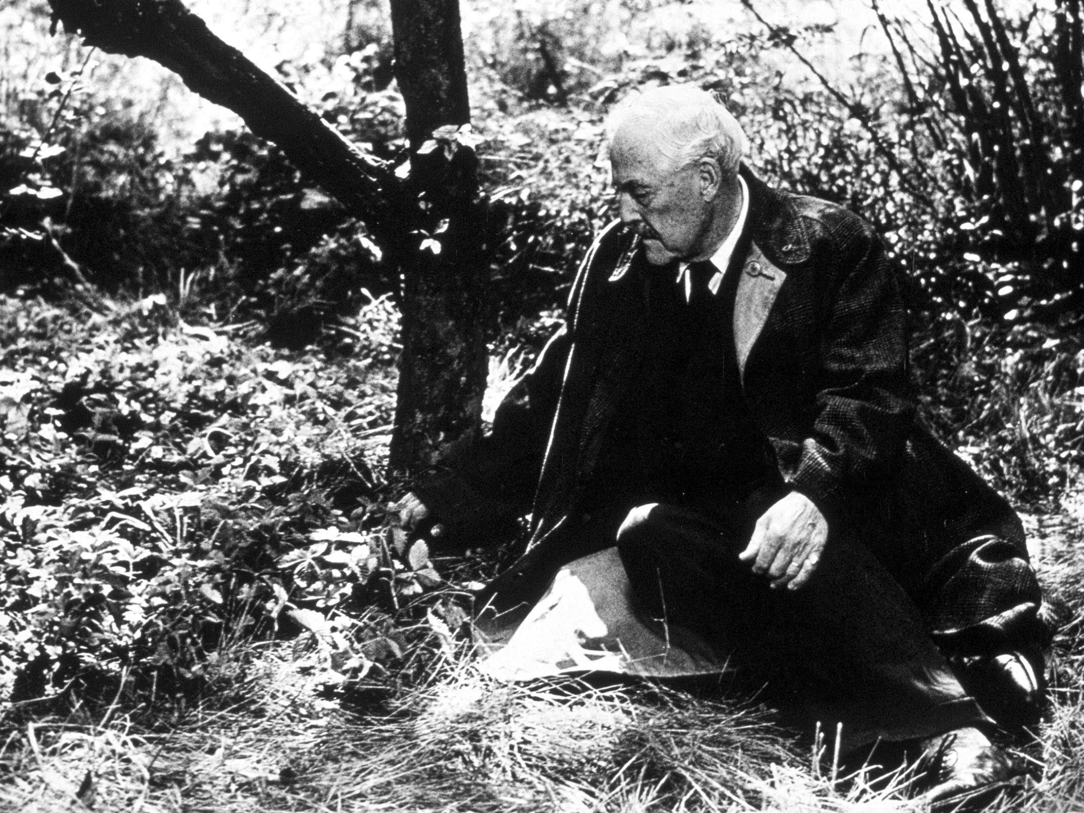 Victor Sjöström in ‘Wild Strawberries’