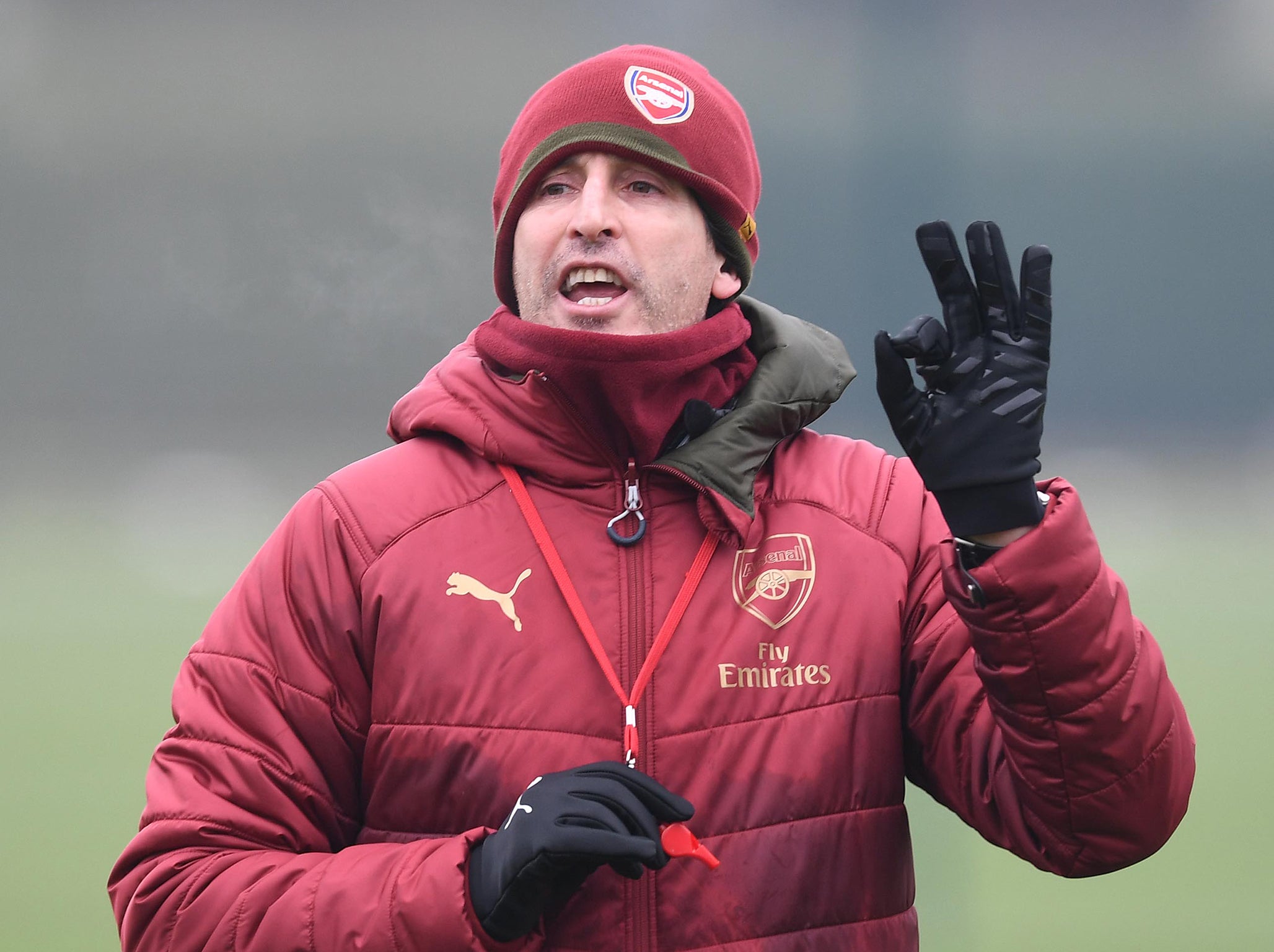 Emery has enjoyed an up and down start at Arsenal