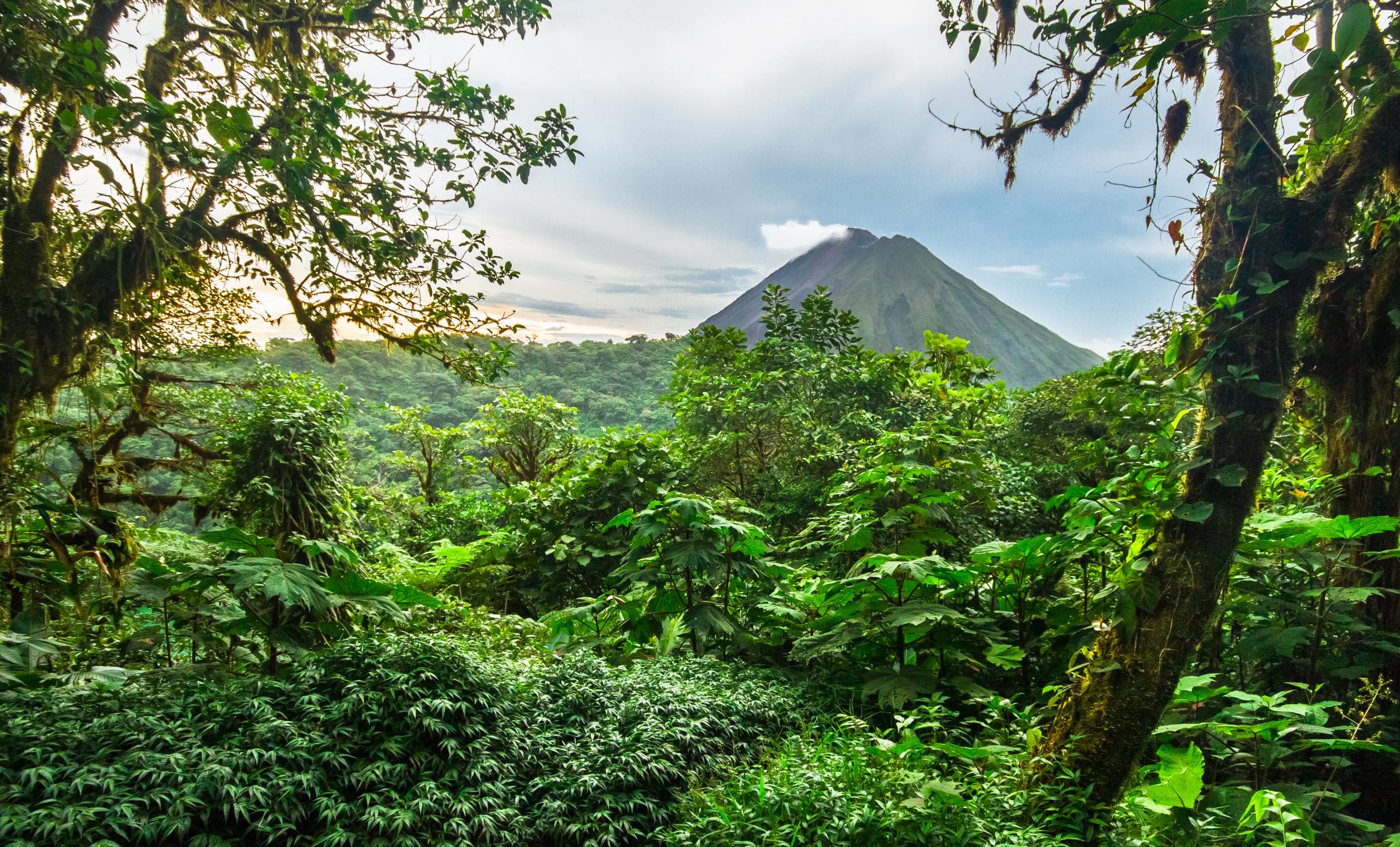 Visit the breath-taking Arenal volcano