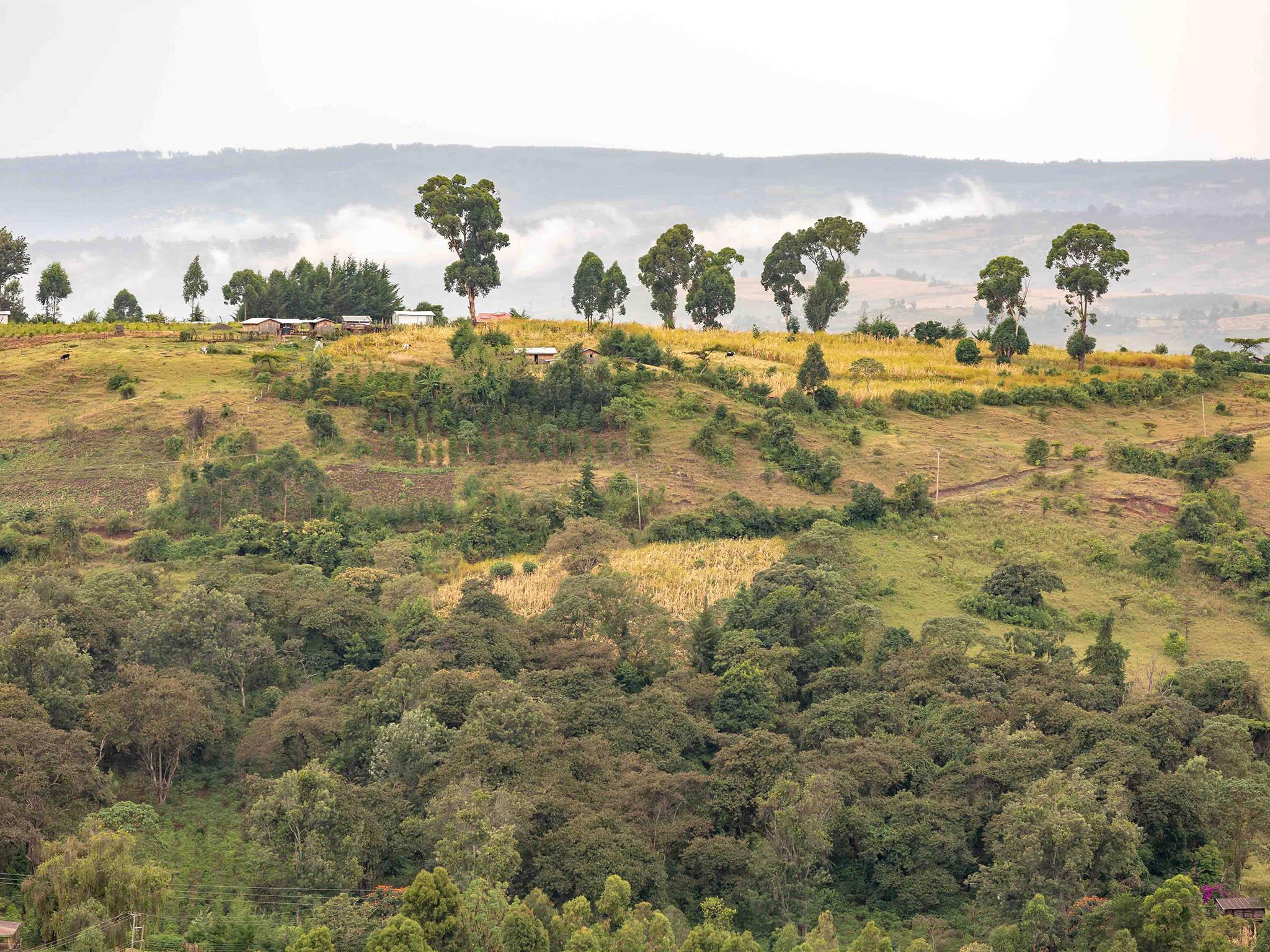 The lush green landscape of Nandi County in Kenya hide a story of poverty, but also one of hope as women are becoming more independent (Chris Terry)