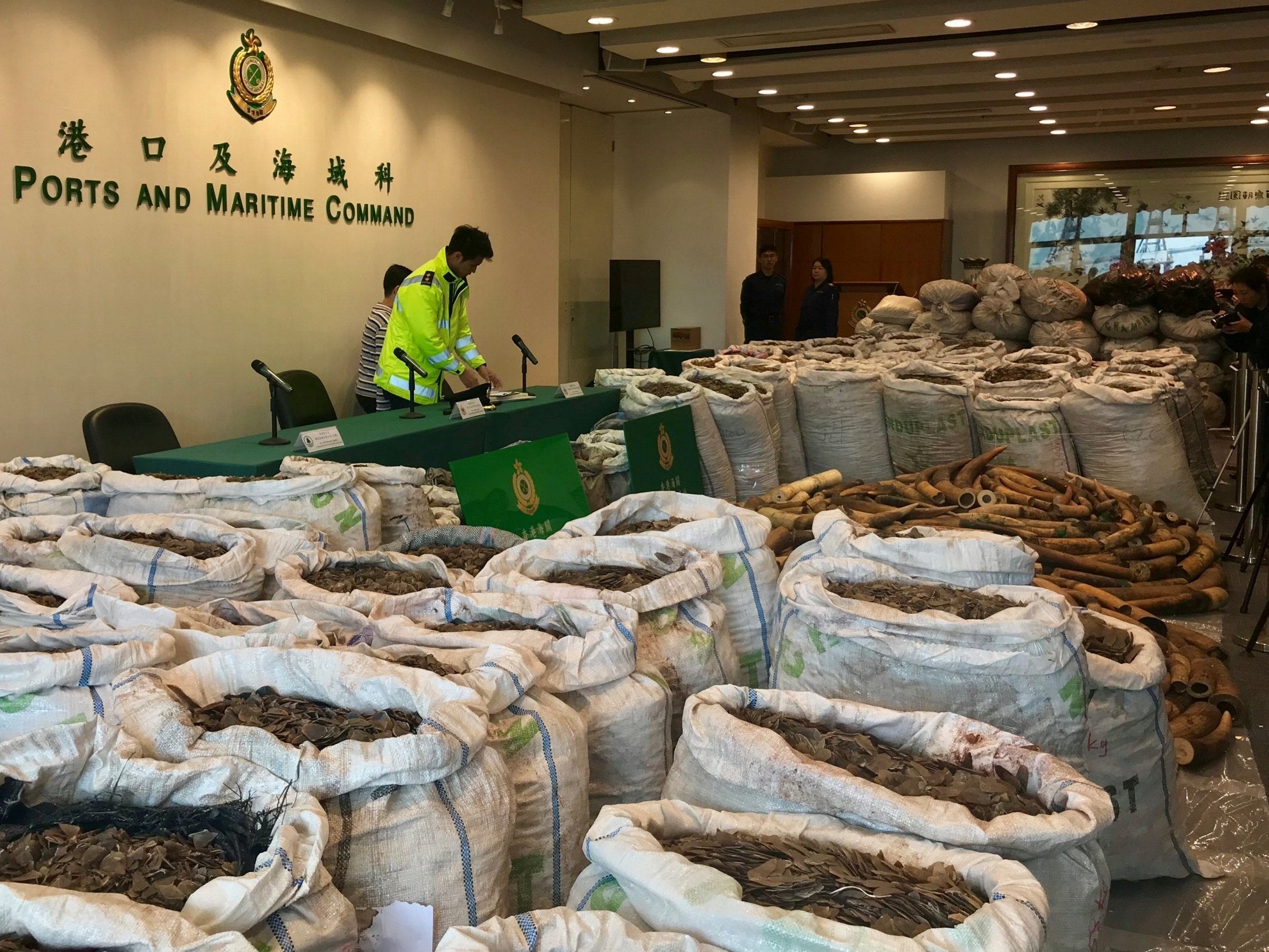 Ivory tusks and pangolin scales seized by Hong Kong Customs