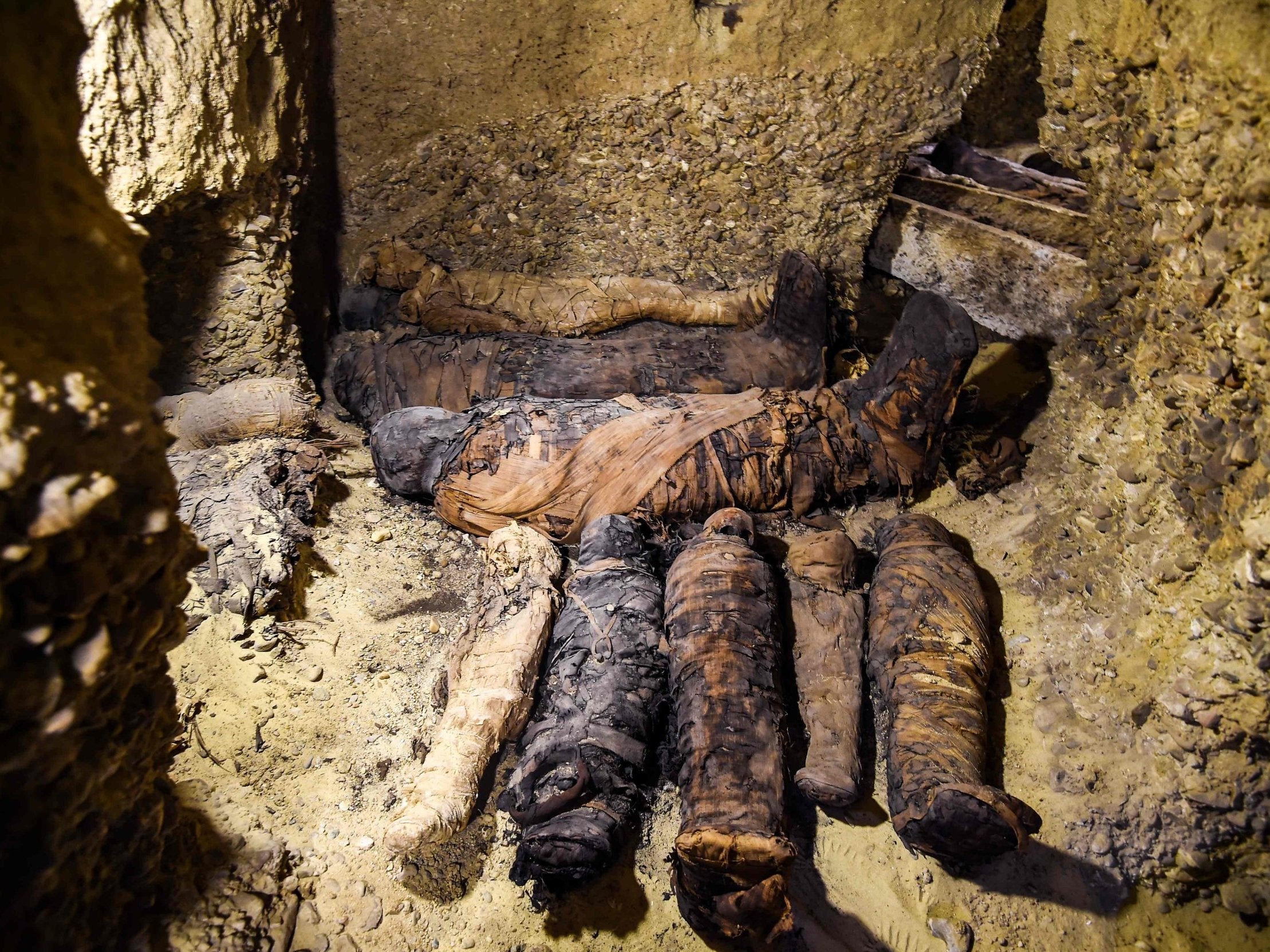 Ancient desert tomb reveals 50 Egyptian mummies including 12 children