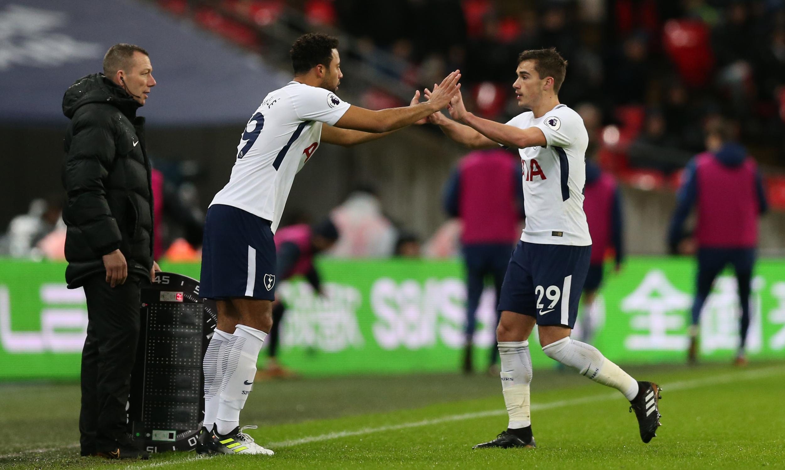 Harry Winks is grateful for Mousa Dembele's tuition