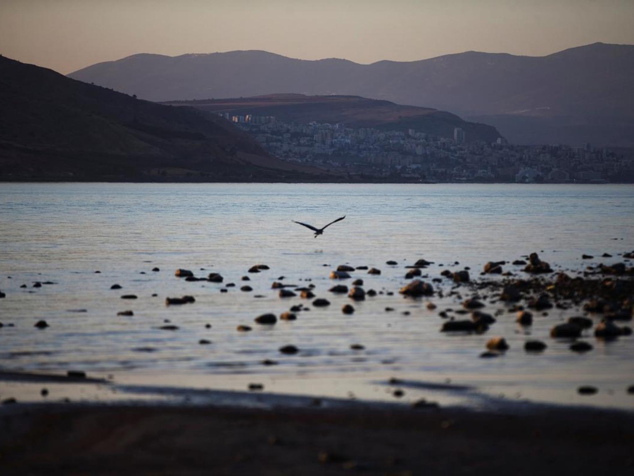 A crane flies low over the Sea of Galilee (Reuters)