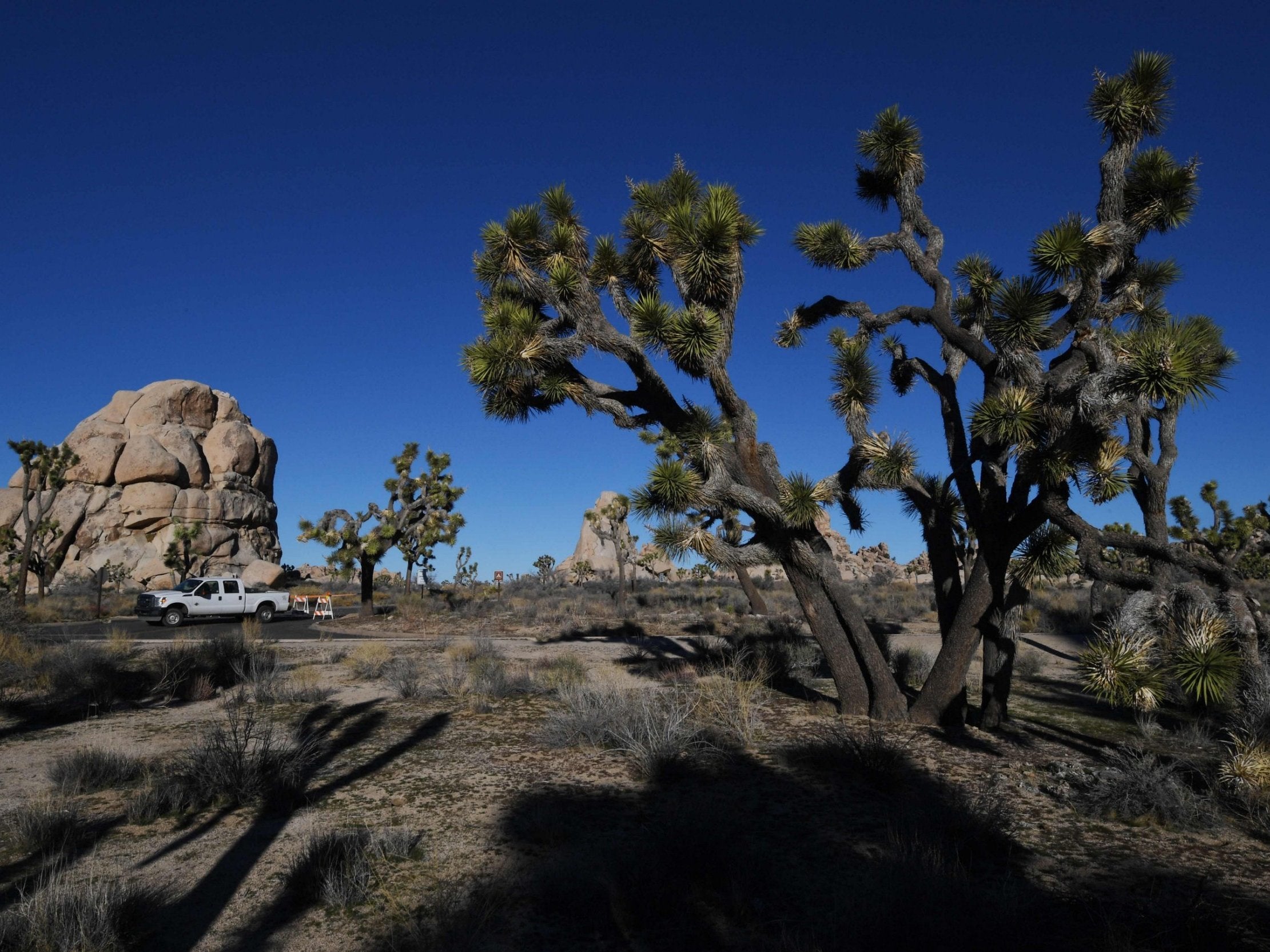 Campgrounds at the Joshua Tree National Park in California are closed after they were left unattended during the government shutdown