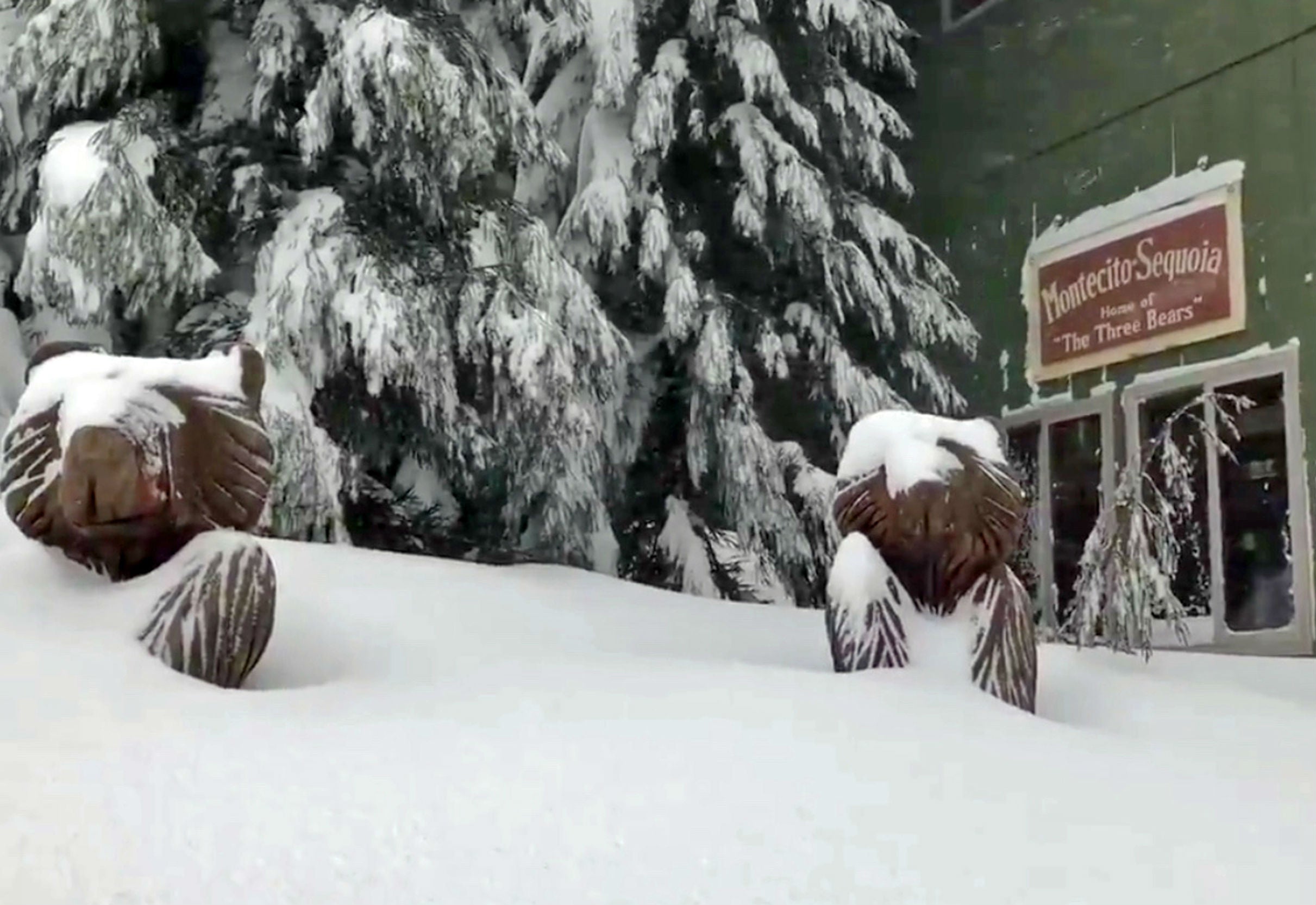 Up to 7ft of snow trapped the guests and staff at Montecito Sequoia Lodge in Sequoia National Forest