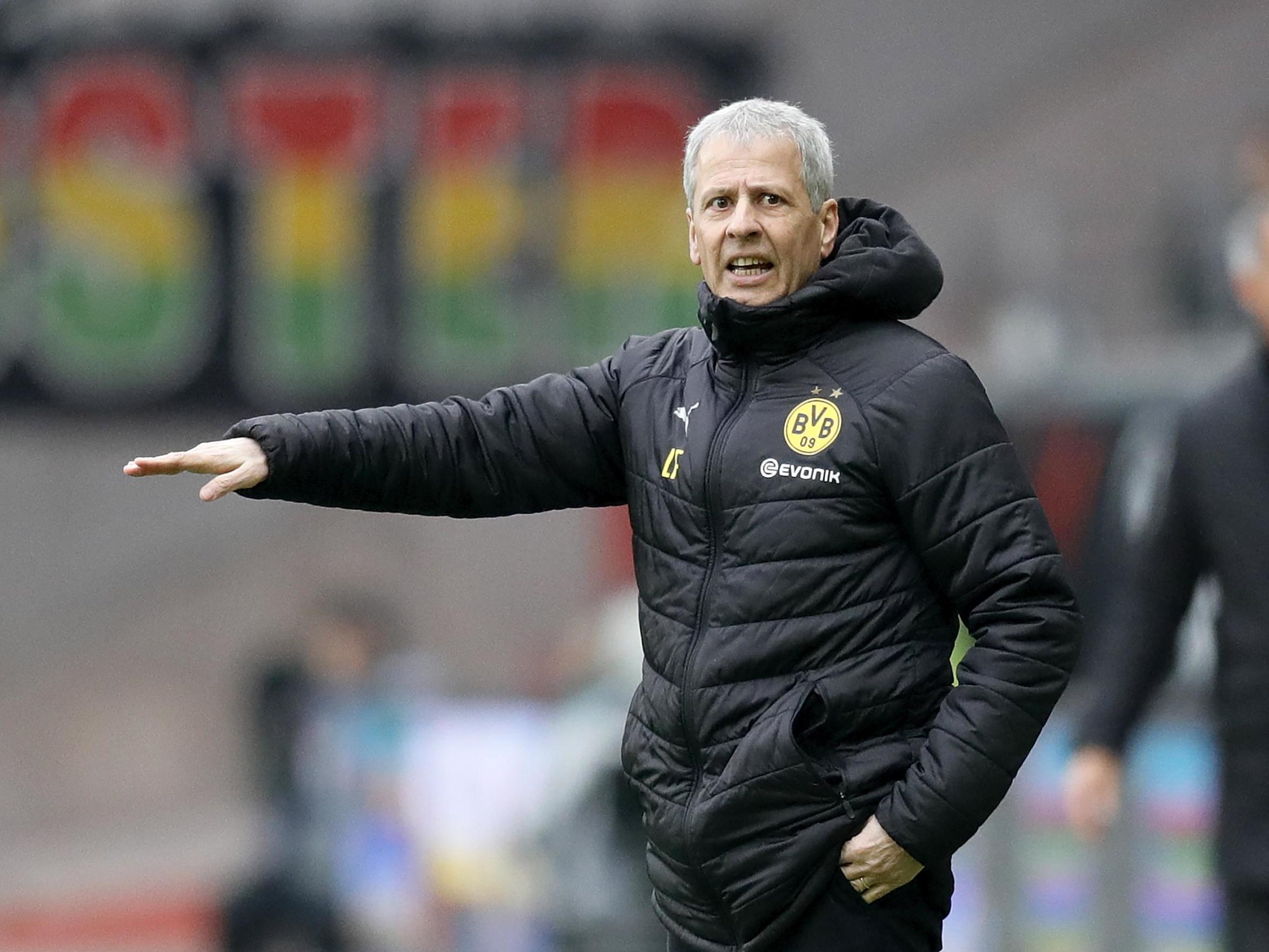 Lucien Favre has inspired Dortmund's revival