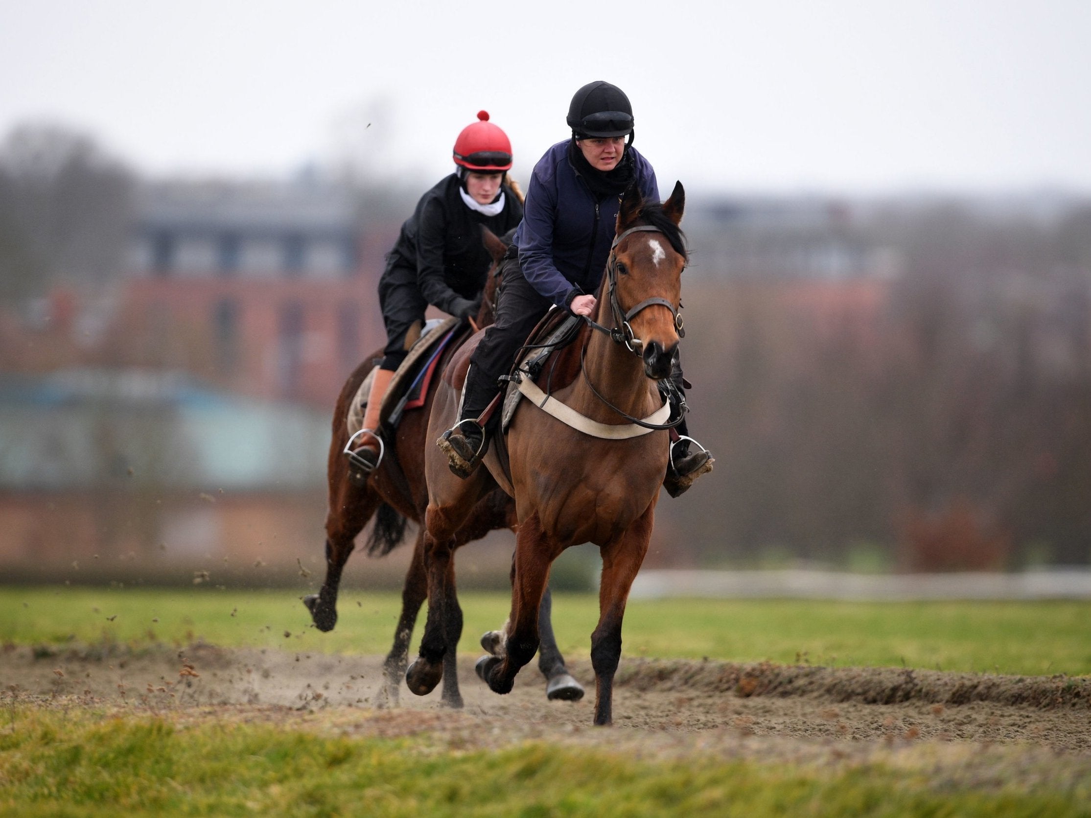 Four new cases of equine flu have been identified among horses at Simon Crisford's Newmarket yard