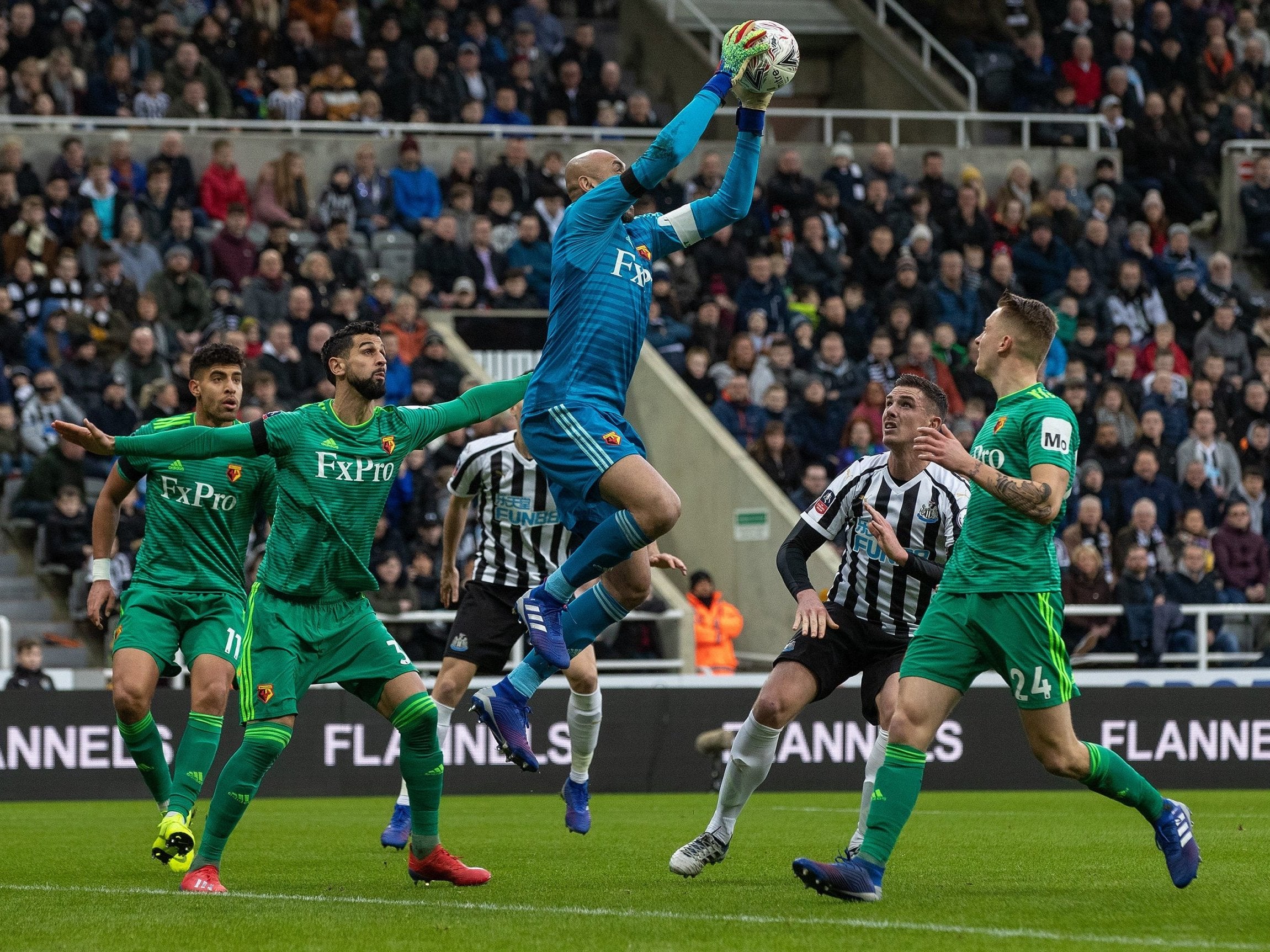 Heurelho Gomes in FA Cup action against Newcastle last month