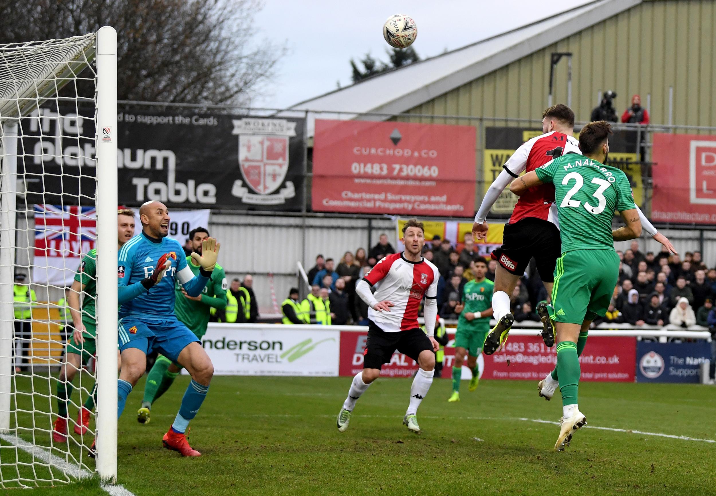 Heurelho Gomes during the FA Cup third round tie against Woking